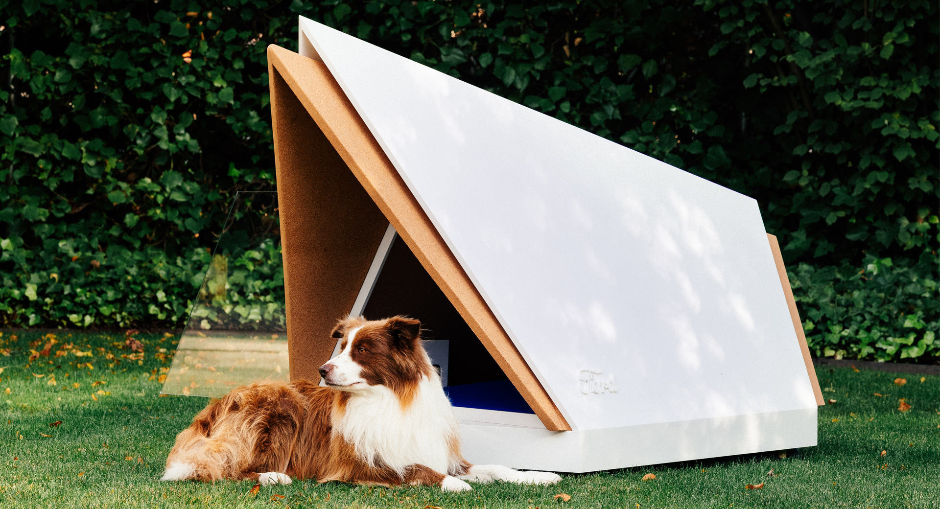 Ford Introduces A High-Tech Dog House 