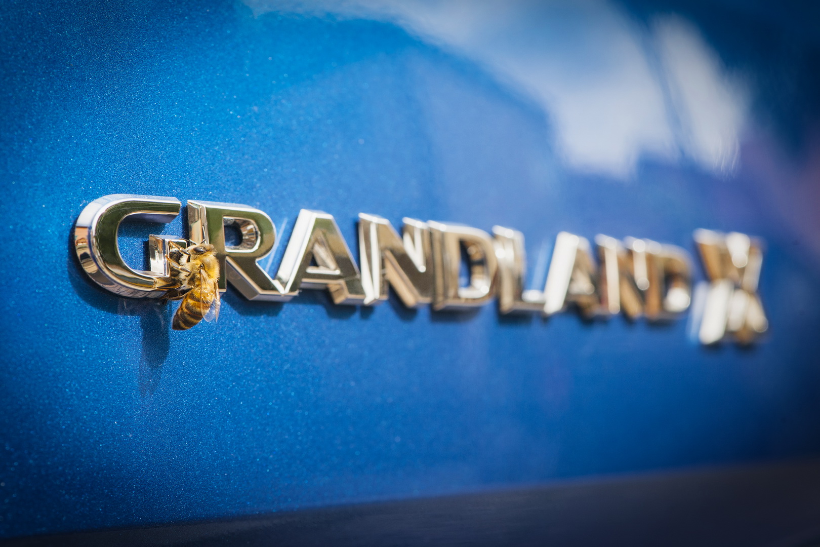 opel grandlanx x 5 Opel Corsa EV, Grandland X PHEV Coming Next Year, New Mokka EV Due In 2020