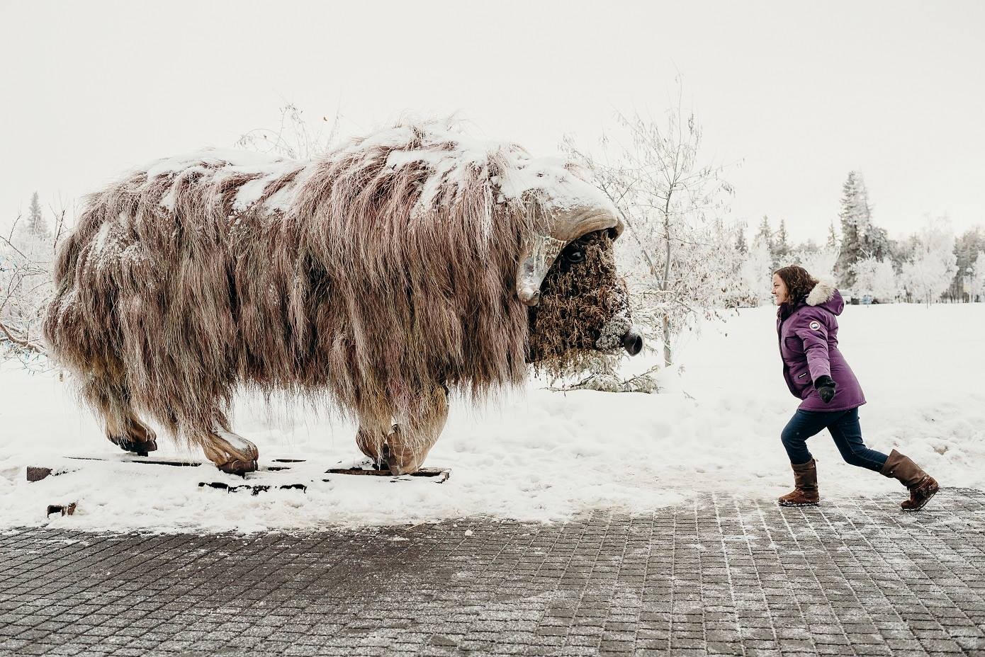 Elon Muskox-1 Elon Musk Gets A Sculpture Named After Him, Can You See The Resemblance?