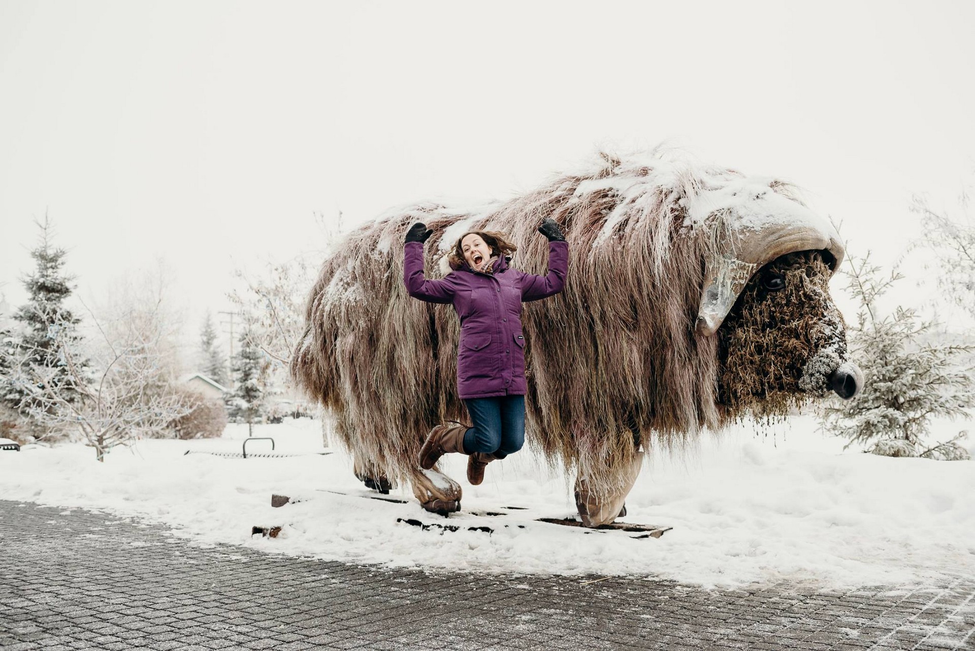Elon Muskox-2 Elon Musk Gets A Sculpture Named After Him, Can You See The Resemblance?