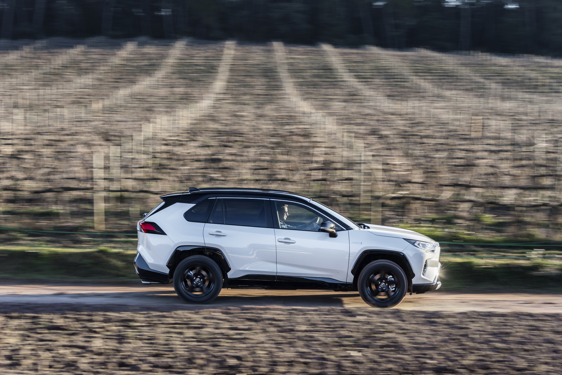 2019-Toyota-RAV4-Hybrid-115 Toyota Details Euro-Spec 2019 RAV4 Hybrid In Massive New Gallery