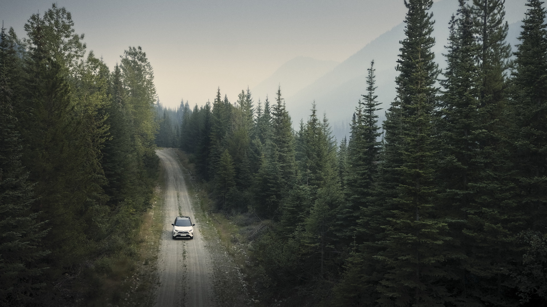 2019-Toyota-RAV4-Hybrid-143 Toyota Details Euro-Spec 2019 RAV4 Hybrid In Massive New Gallery