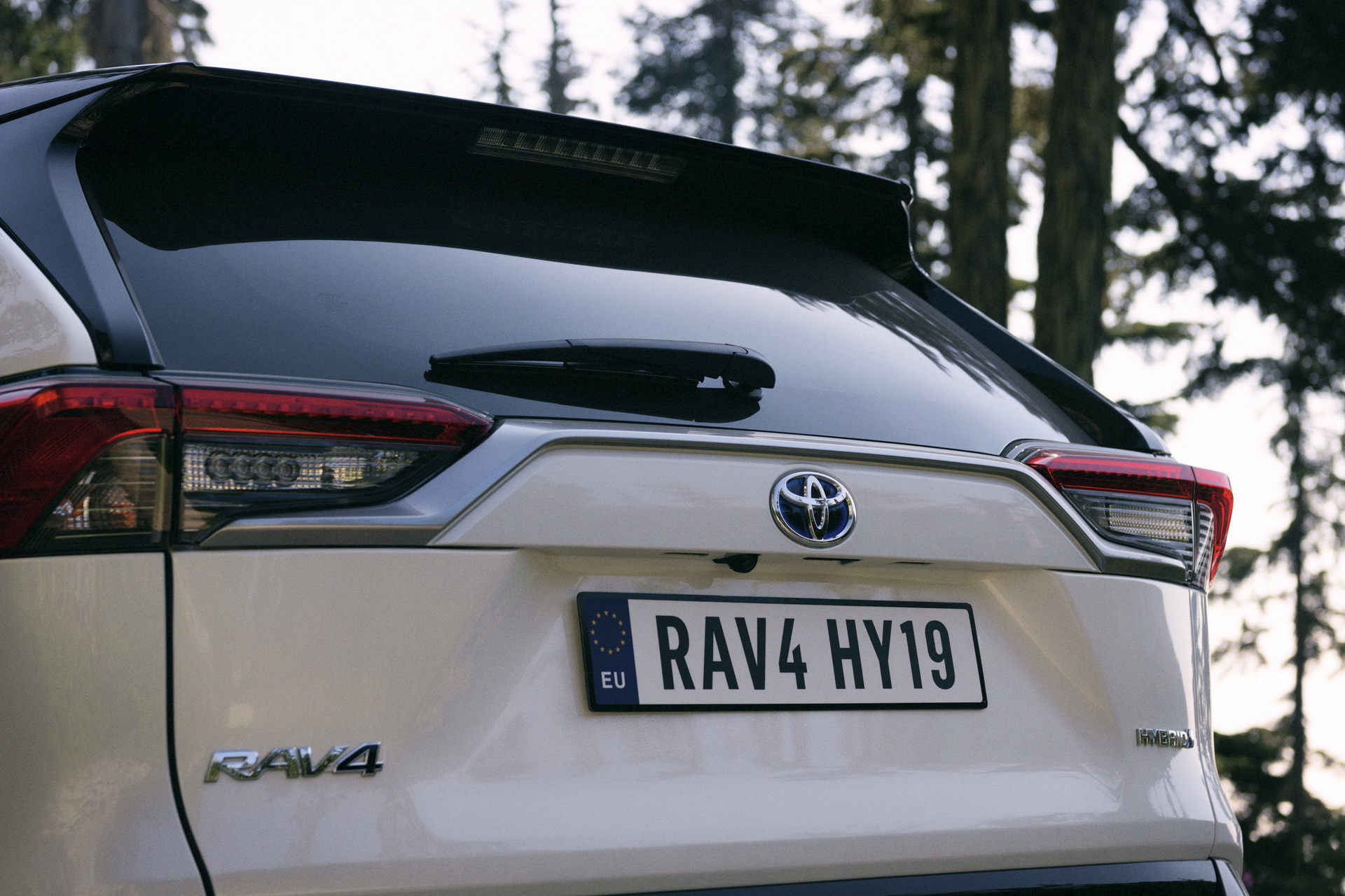 2019-Toyota-RAV4-Hybrid-44 Toyota Details Euro-Spec 2019 RAV4 Hybrid In Massive New Gallery