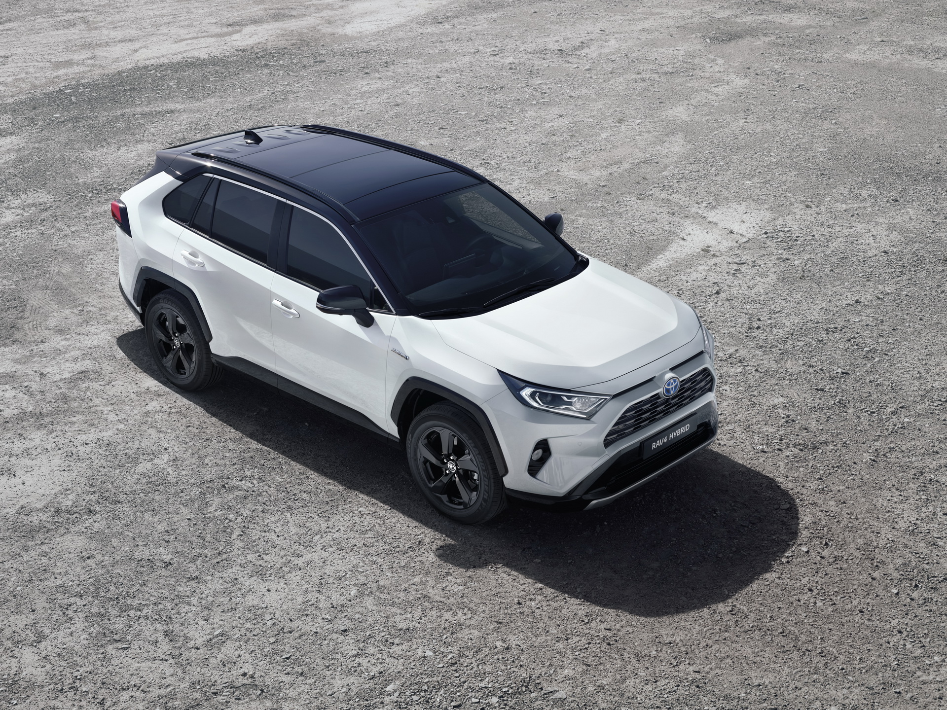 2019-Toyota-RAV4-Hybrid-04 Toyota Details Euro-Spec 2019 RAV4 Hybrid In Massive New Gallery