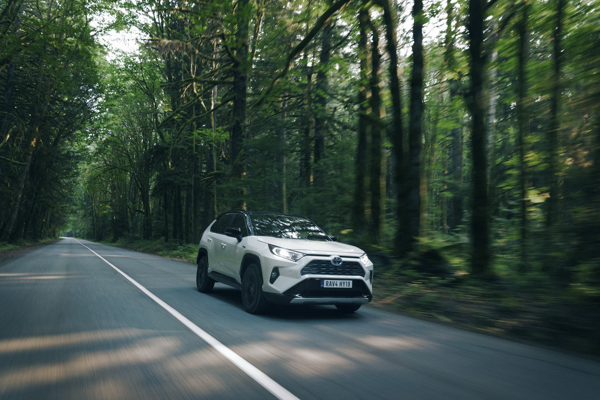 2019-Toyota-RAV4-Hybrid-137 Toyota Details Euro-Spec 2019 RAV4 Hybrid In Massive New Gallery