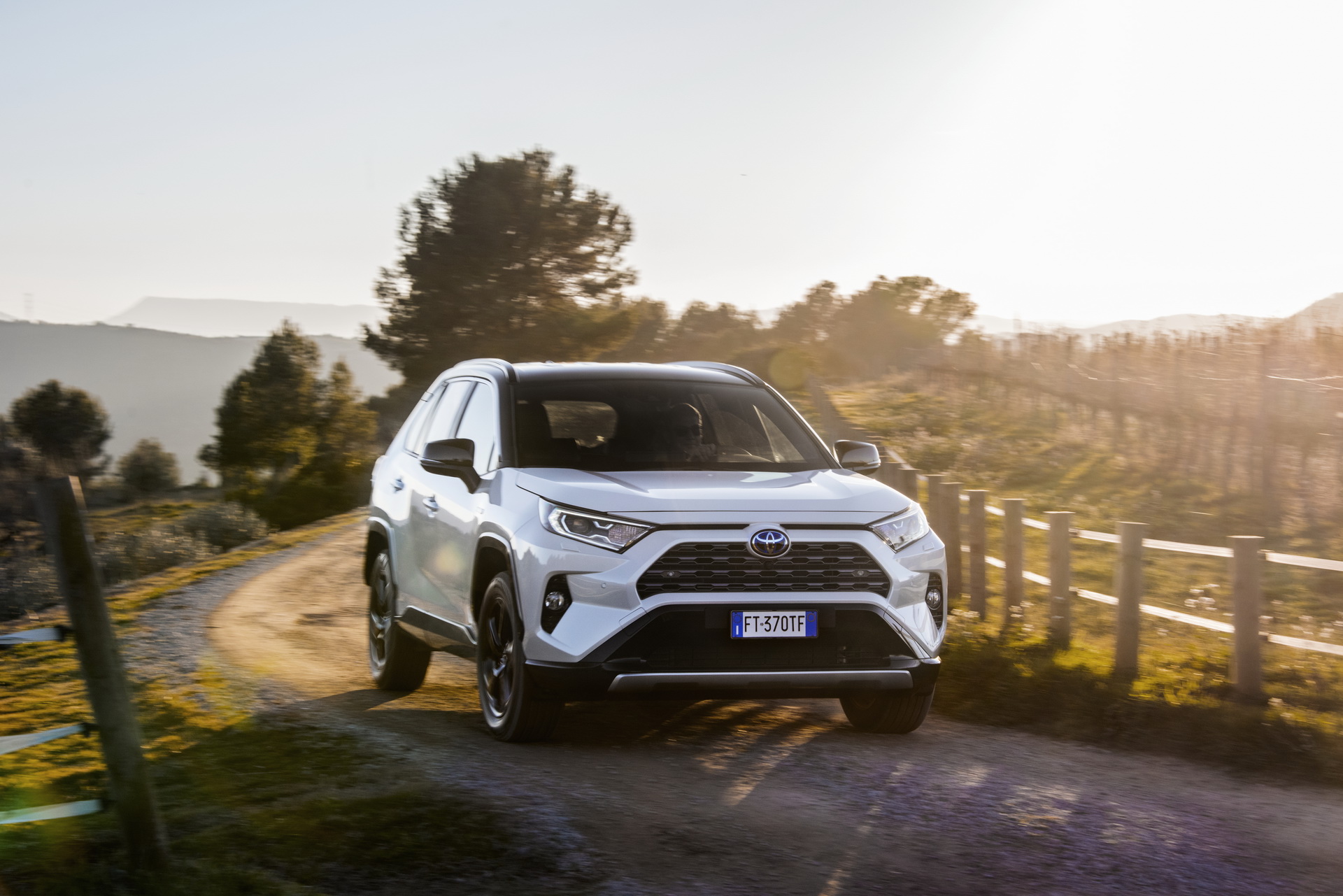 2019-Toyota-RAV4-Hybrid-111 Toyota Details Euro-Spec 2019 RAV4 Hybrid In Massive New Gallery