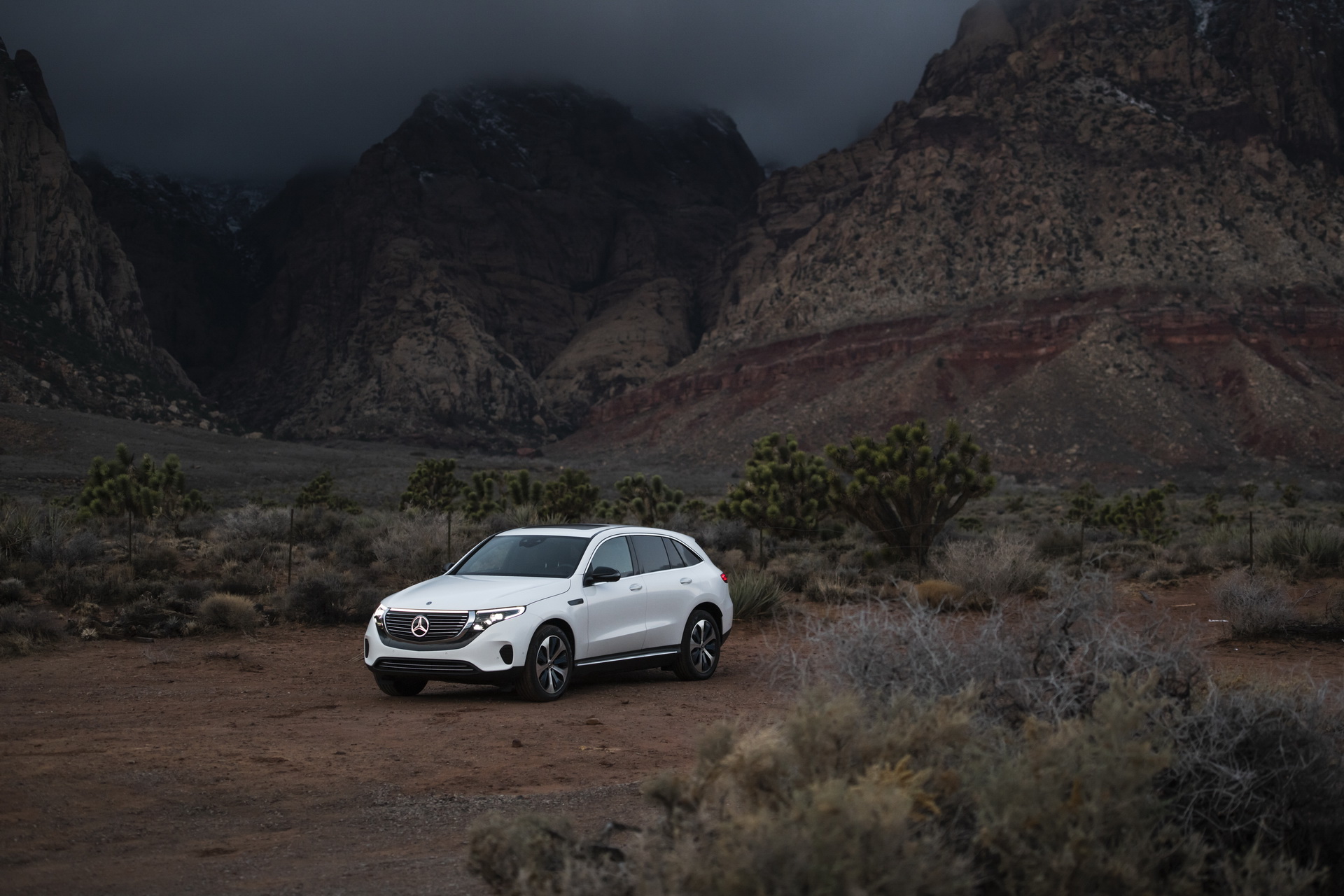 2020-Mercedes-EQC-27 Mercedes Maps Its Present (EQC) And Future (Urbanetic) At CES