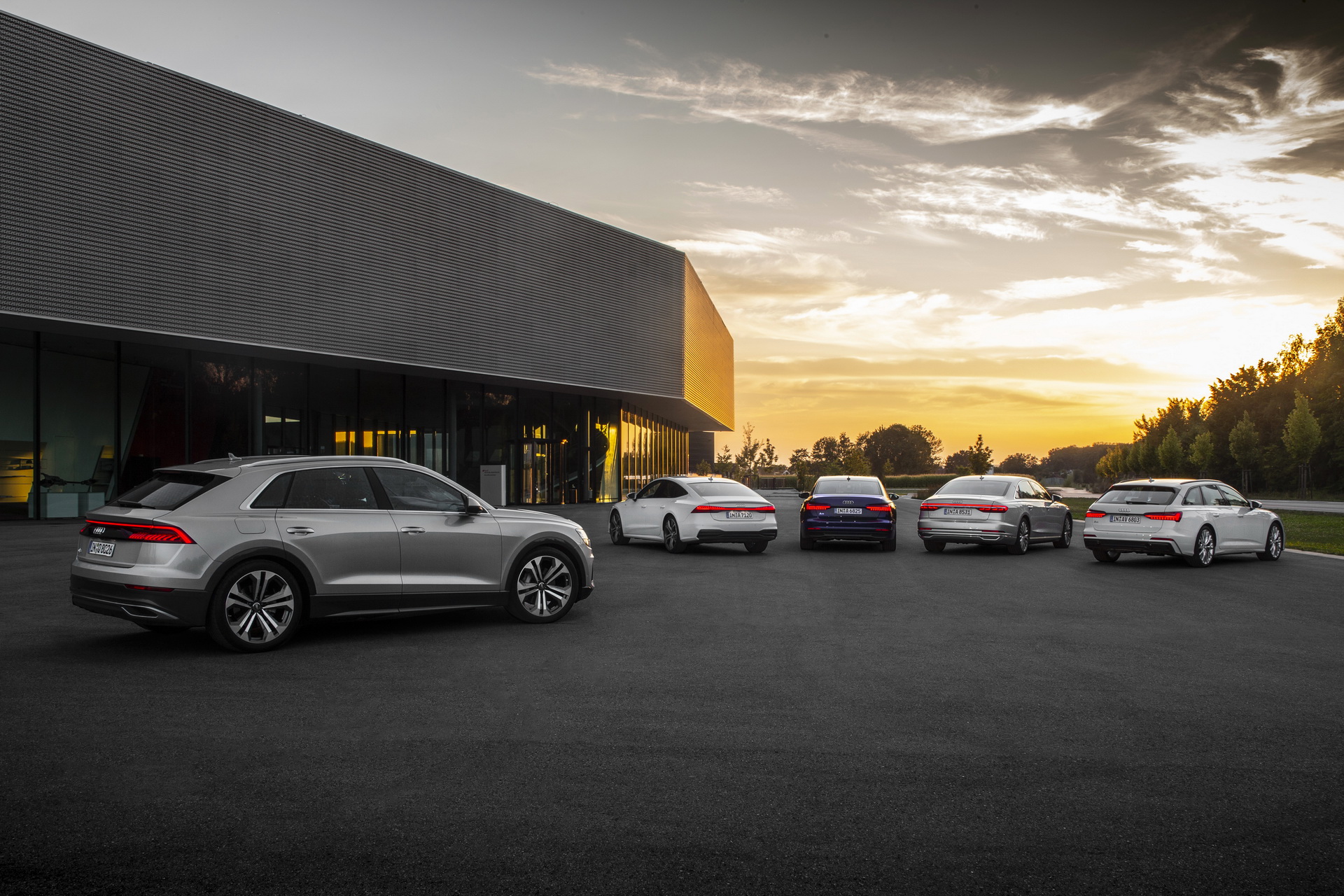 Audi-Q8-31 2019 Audi Q8 Now Available With Two More Engine Options