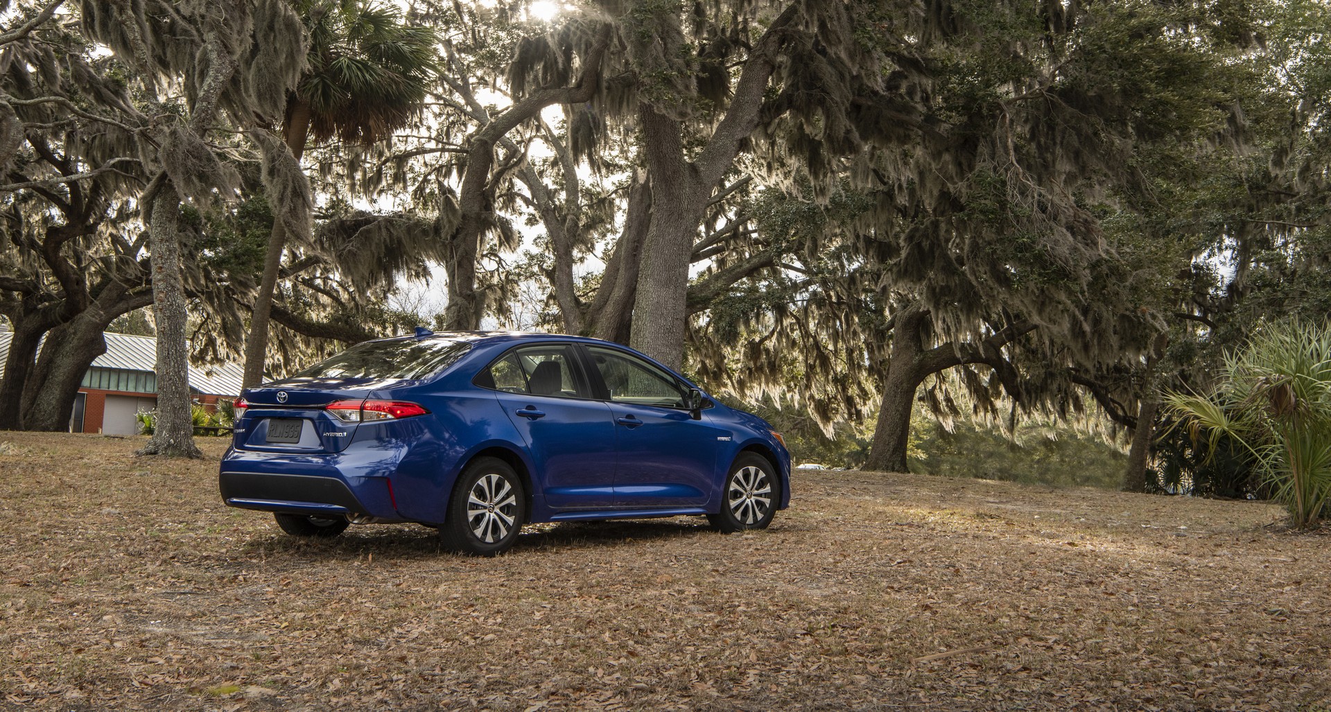2020 Toyota Corolla-92 2020 Toyota Corolla Starts At $19,500, See It In 200+ Photos