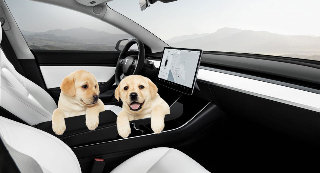  Tesla Is Now Adding A ‘Dog Mode’ Function To Help Owners And Dogs Alike