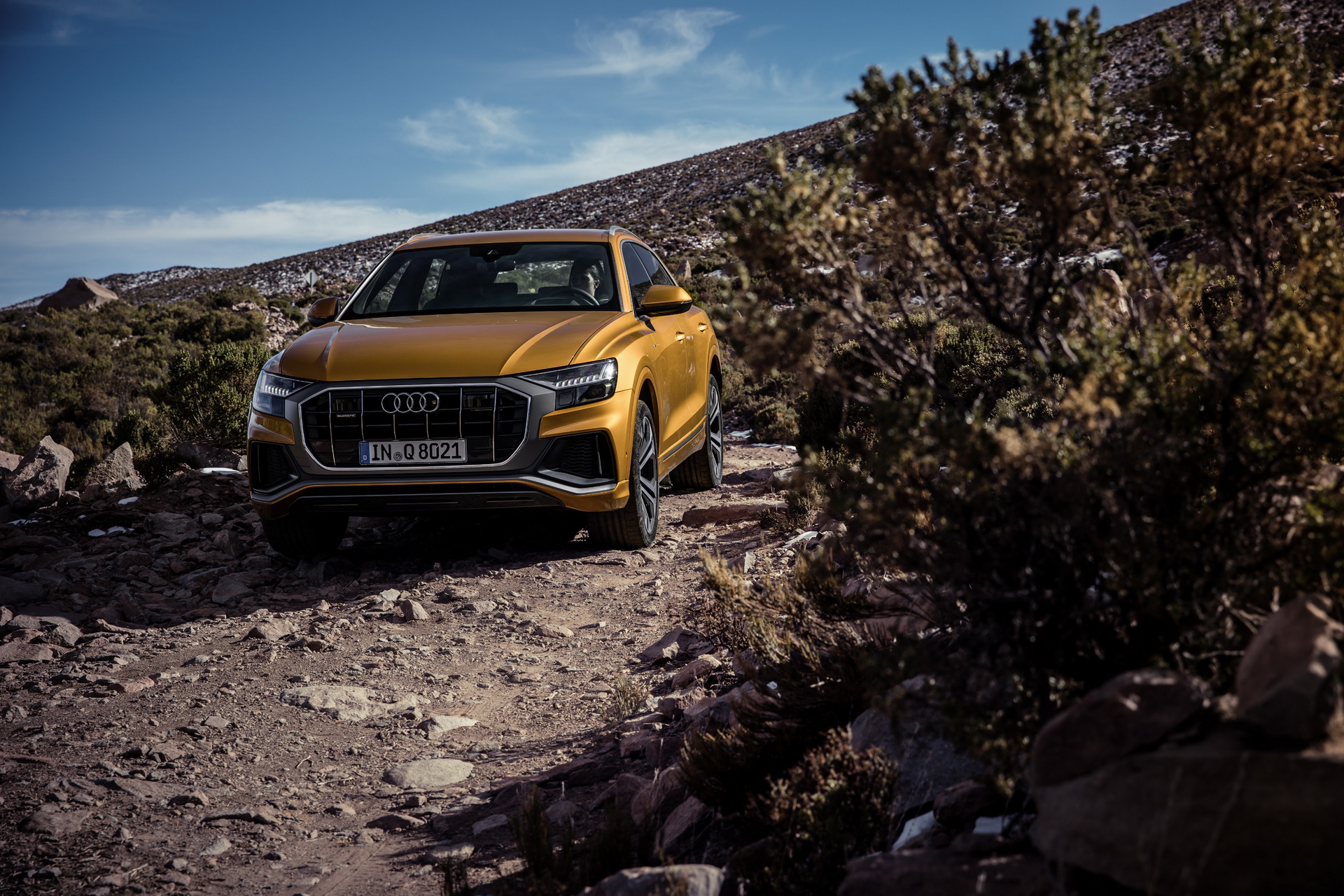 Audi-Q8-20 2019 Audi Q8 Now Available With Two More Engine Options