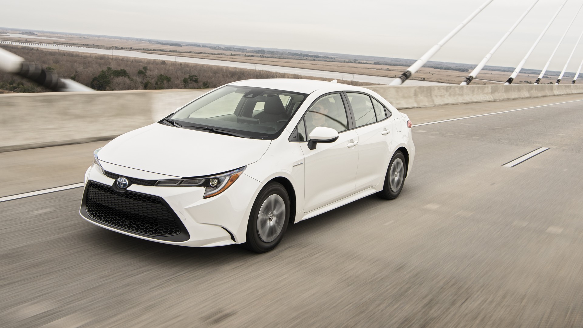 2020 Toyota Corolla-67 2020 Toyota Corolla Starts At $19,500, See It In 200+ Photos