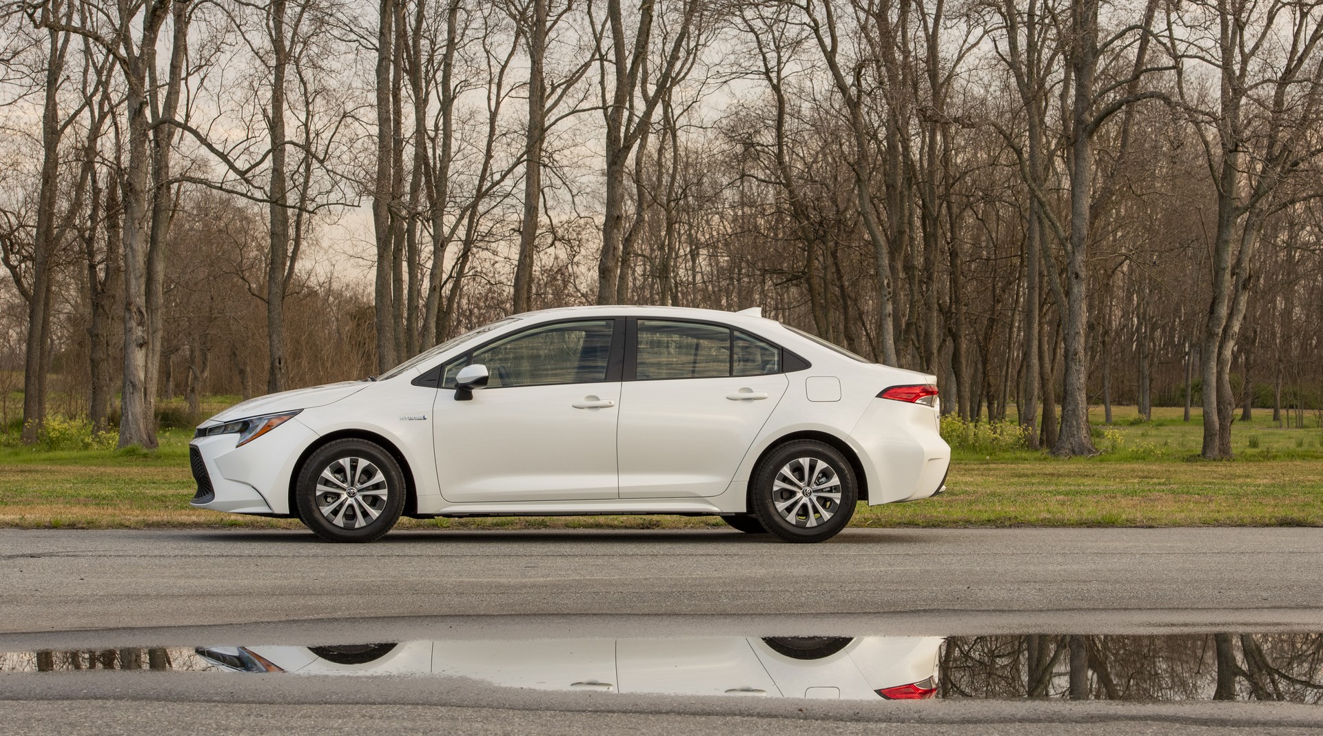 2020 Toyota Corolla-54 2020 Toyota Corolla Starts At $19,500, See It In 200+ Photos