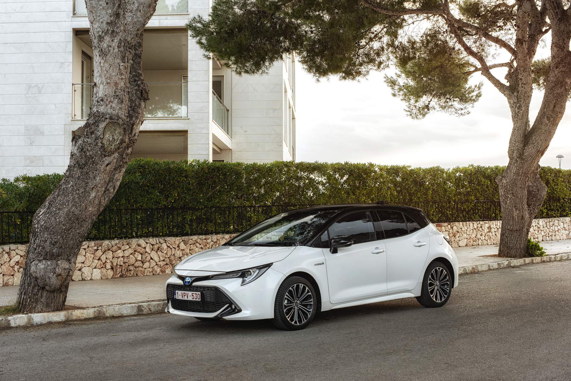 2019 Toyota Corolla Hatchback 1 Toyota Drops Euro-Spec 2019 Corolla Performance And Economy Specs, Mega Gallery