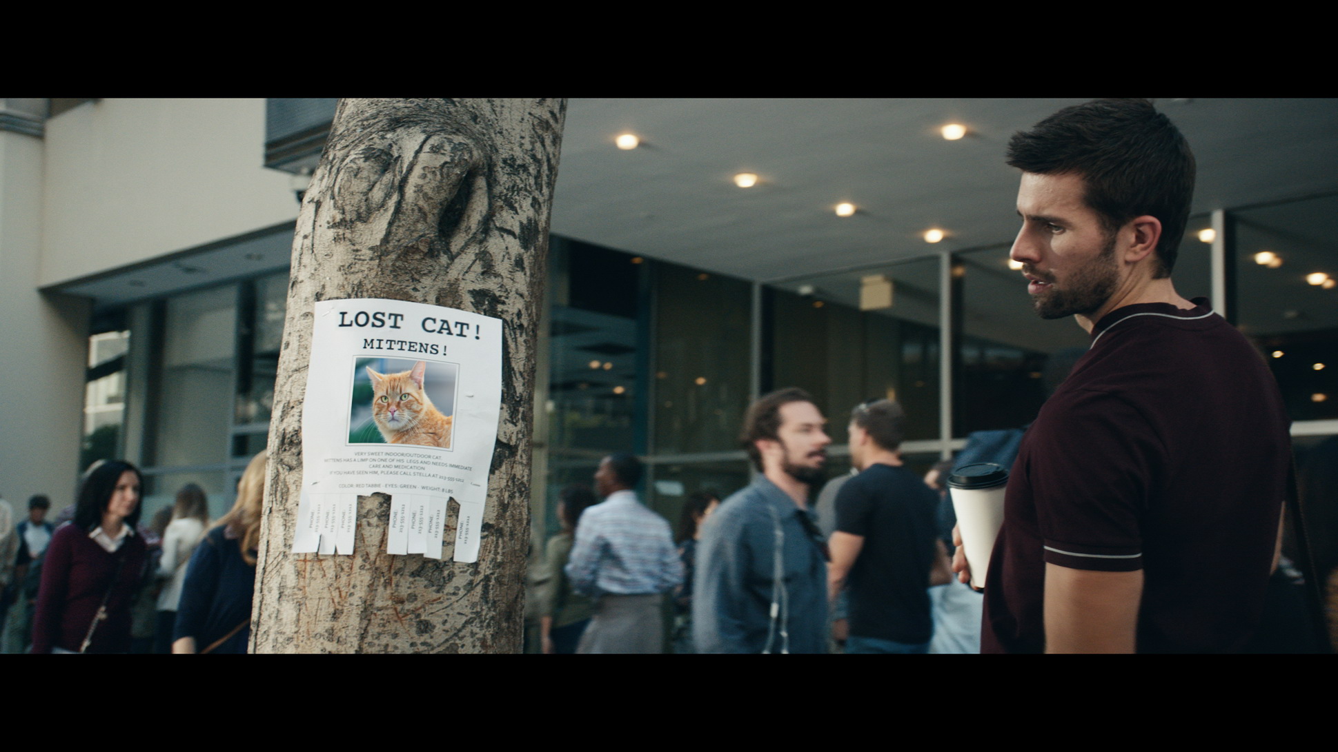 Lost_Cat_Mittens_Poster-source Mercedes Makes New A-Class Sound Pretty Clever In Super Bowl Ad