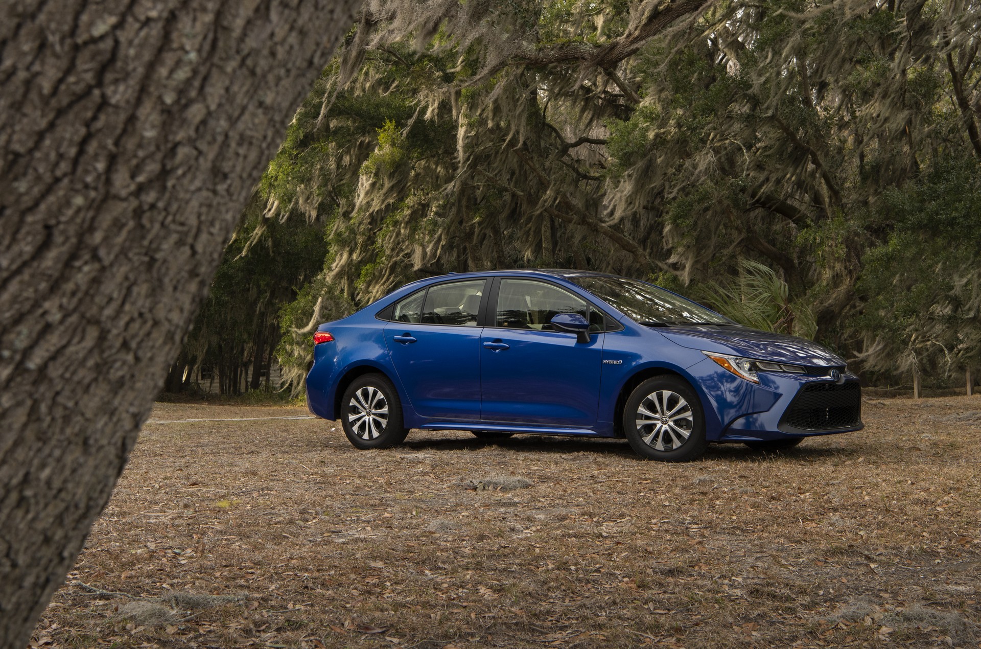 2020 Toyota Corolla-94 2020 Toyota Corolla Starts At $19,500, See It In 200+ Photos
