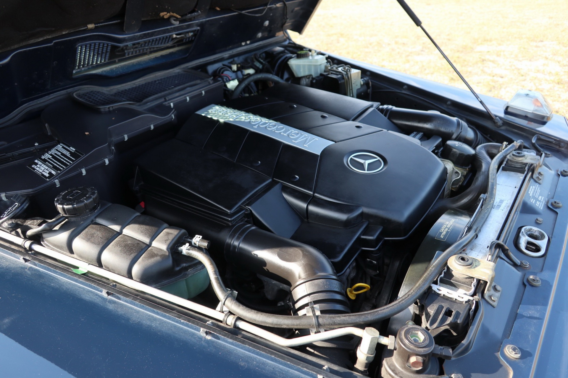 2002 mercedes g500 bat auction 41 2002 V8-Powered Mercedes G500 Might End Up Being A Bargain