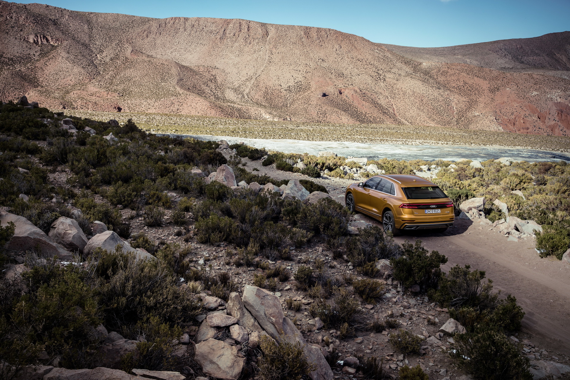 Audi-Q8-22 2019 Audi Q8 Now Available With Two More Engine Options