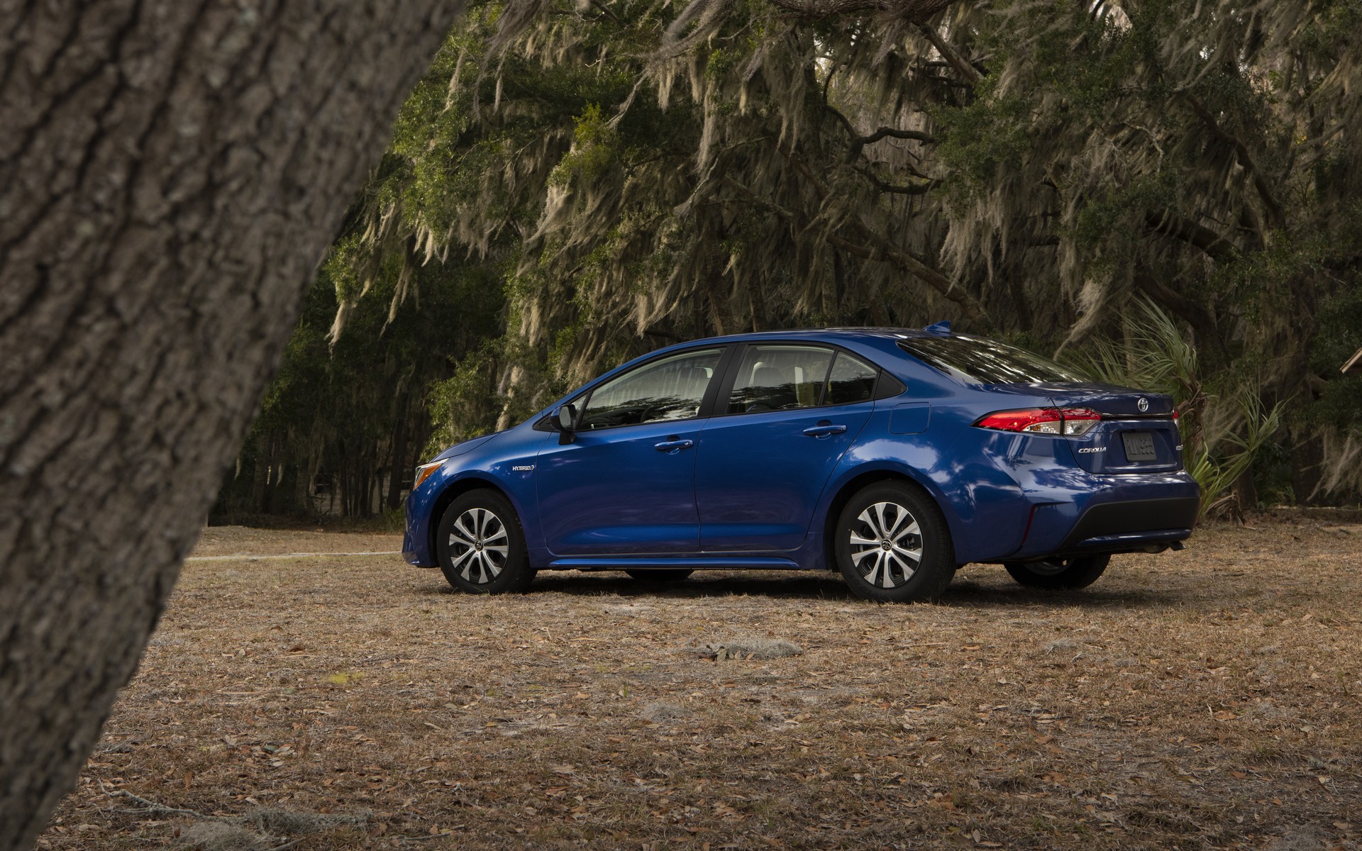 2020 Toyota Corolla-93 2020 Toyota Corolla Starts At $19,500, See It In 200+ Photos