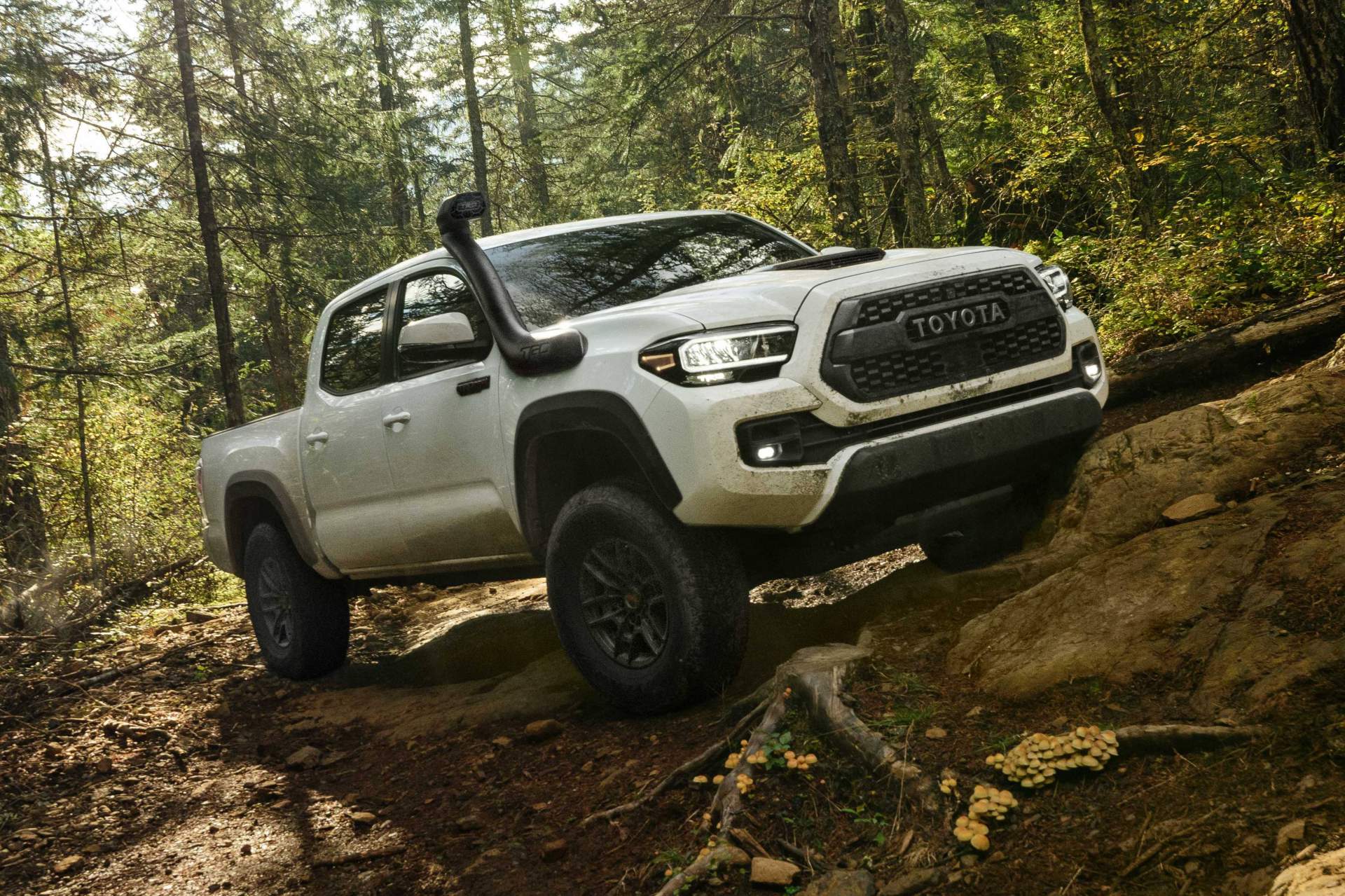 Tacoma TRD Pro
