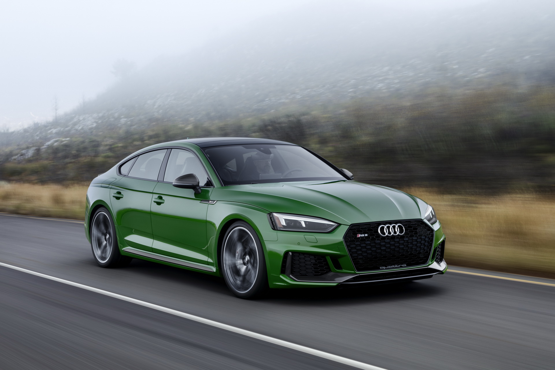 2019-Audi-RS5-Sportback-36 Audi Opens Order Books For Twin-Turbo 444HP RS5 Sportback In Europe
