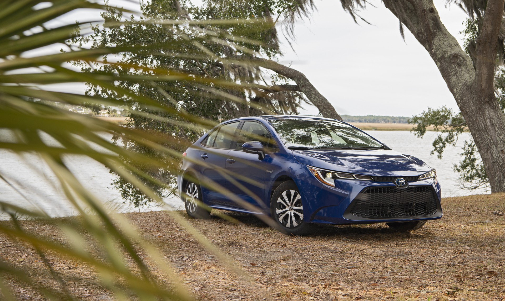 2020 Toyota Corolla-90 2020 Toyota Corolla Starts At $19,500, See It In 200+ Photos