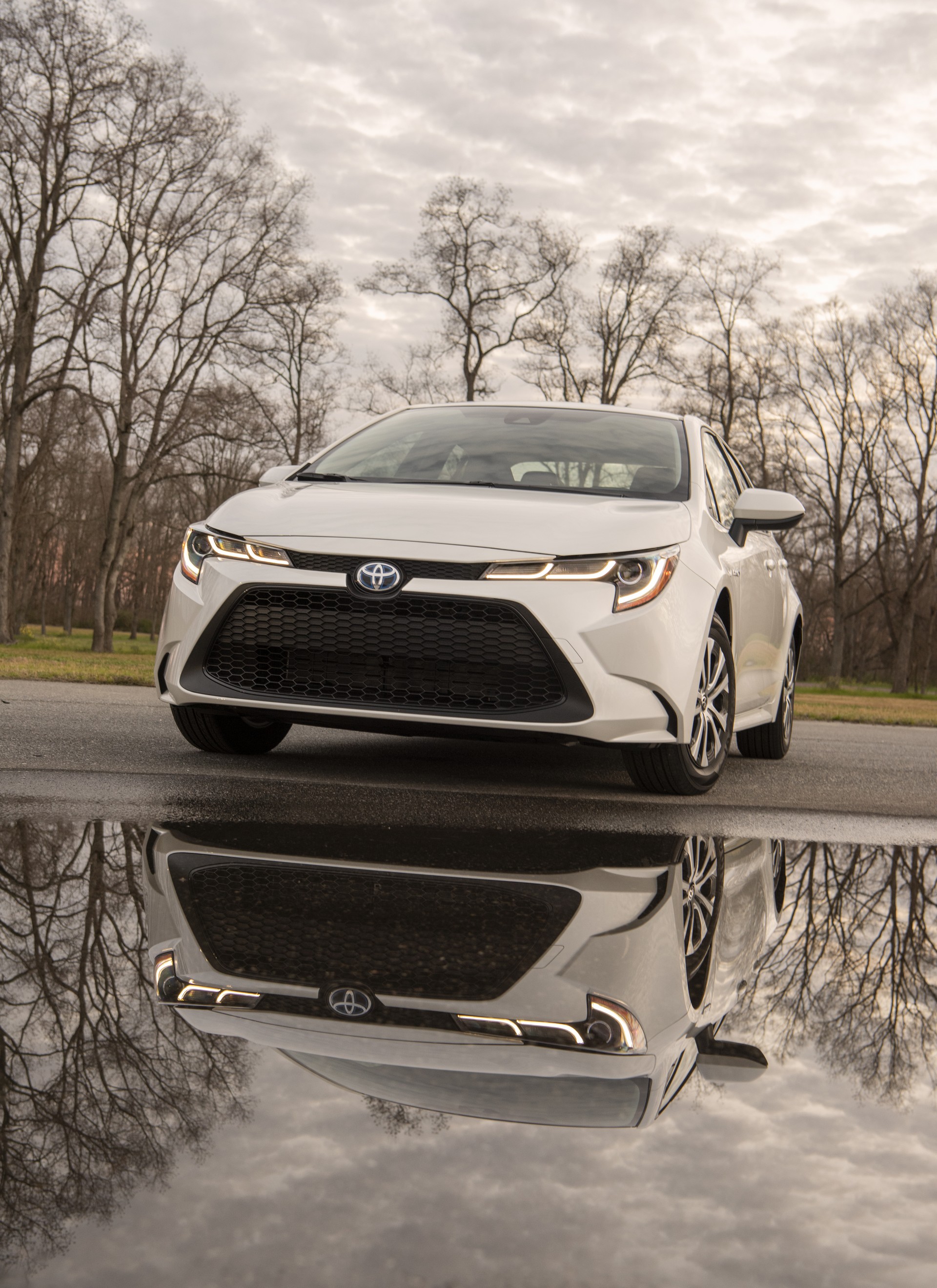 2020 Toyota Corolla-51 2020 Toyota Corolla Starts At $19,500, See It In 200+ Photos