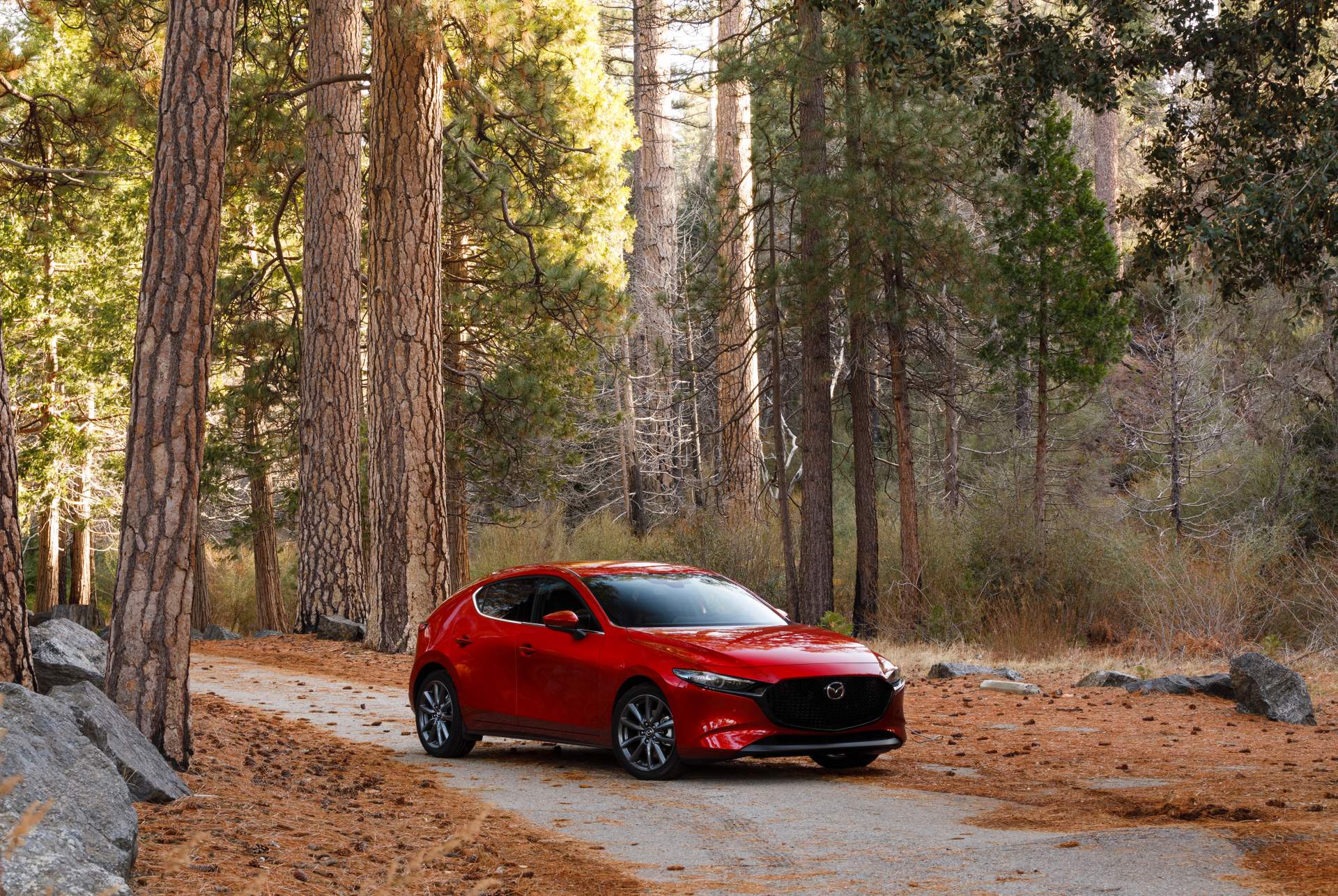 2019 Mazda3 Hatchback 2 Feast Your Eyes On America’s 2019 Mazda3 Through This Super Gallery