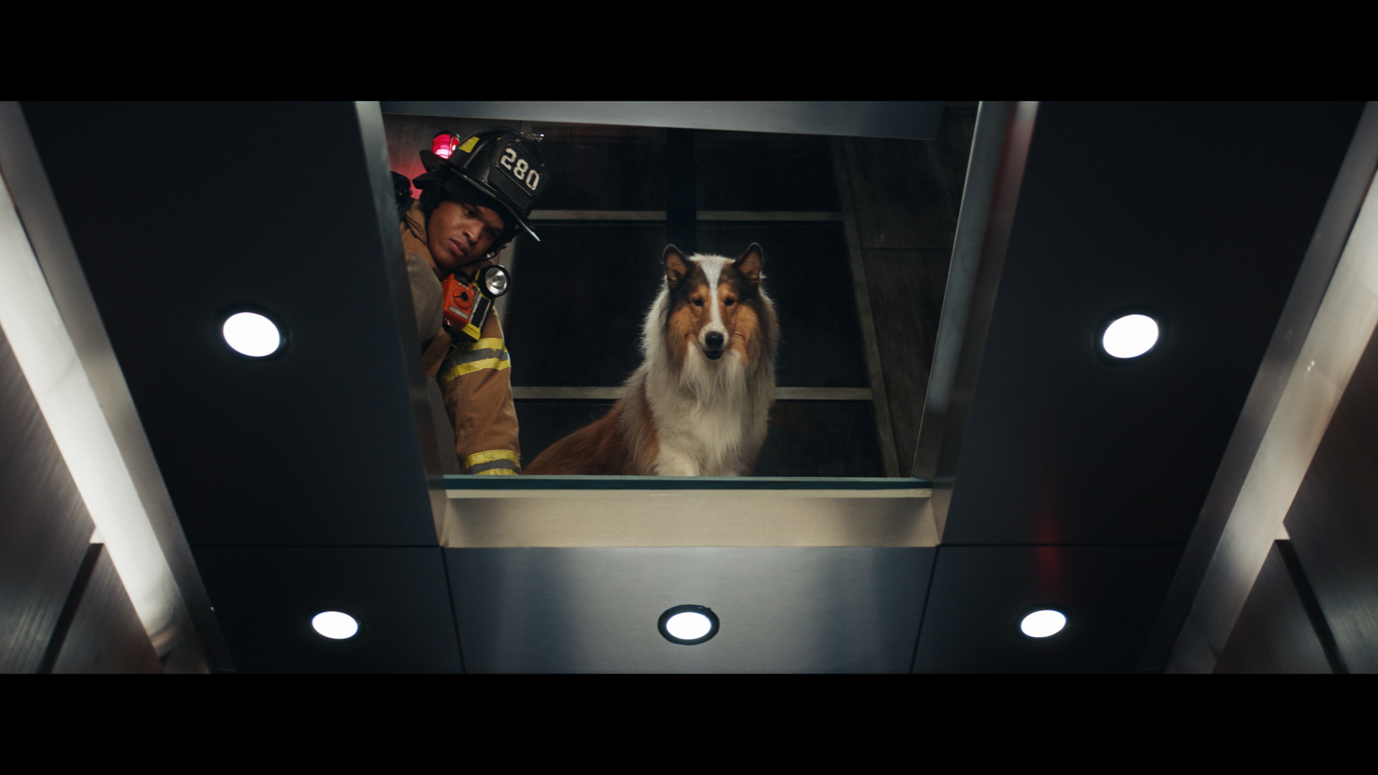 Lassie_Close_Up-source Mercedes Makes New A-Class Sound Pretty Clever In Super Bowl Ad