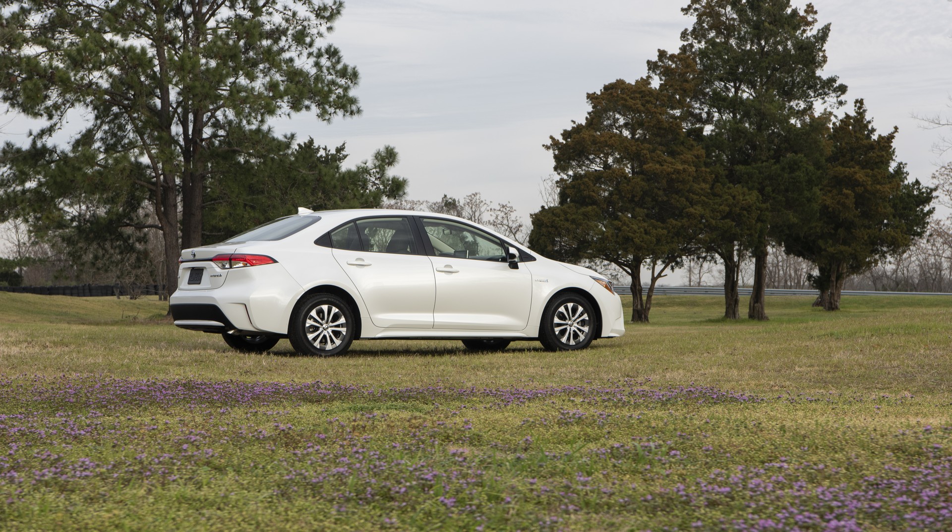 2020 Toyota Corolla-57 2020 Toyota Corolla Starts At $19,500, See It In 200+ Photos