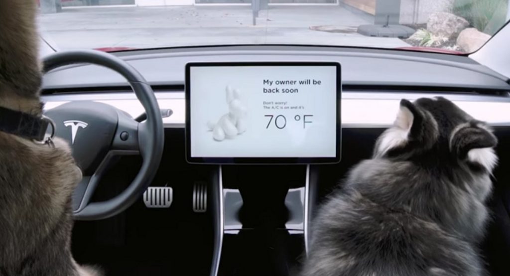 Tesla Launches Dog Mode To Protect Your Pooch | Carscoops