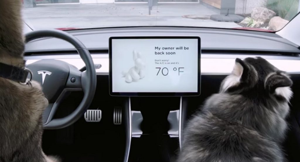  Tesla Launches Dog Mode To Protect Your Pooch