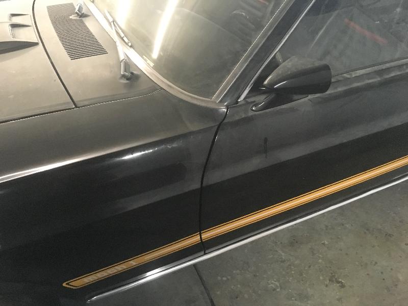 mach 1 ford mustang barn find 70 A 1969 Ford Mustang Mach 1 Was Sitting In A Garage For 39 Years!