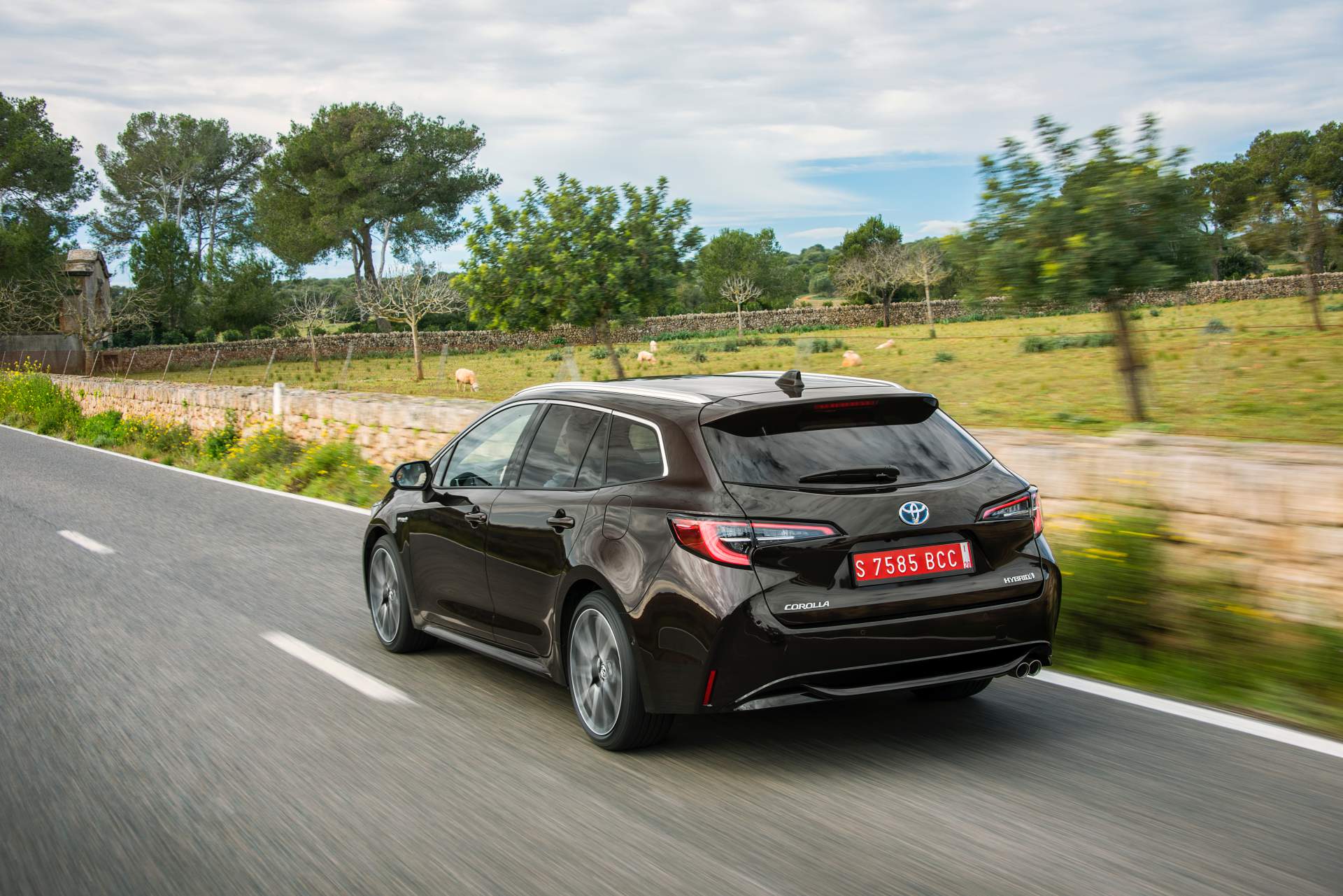 2019 Toyota Corolla Touring Sports 2 Toyota Drops Euro-Spec 2019 Corolla Performance And Economy Specs, Mega Gallery