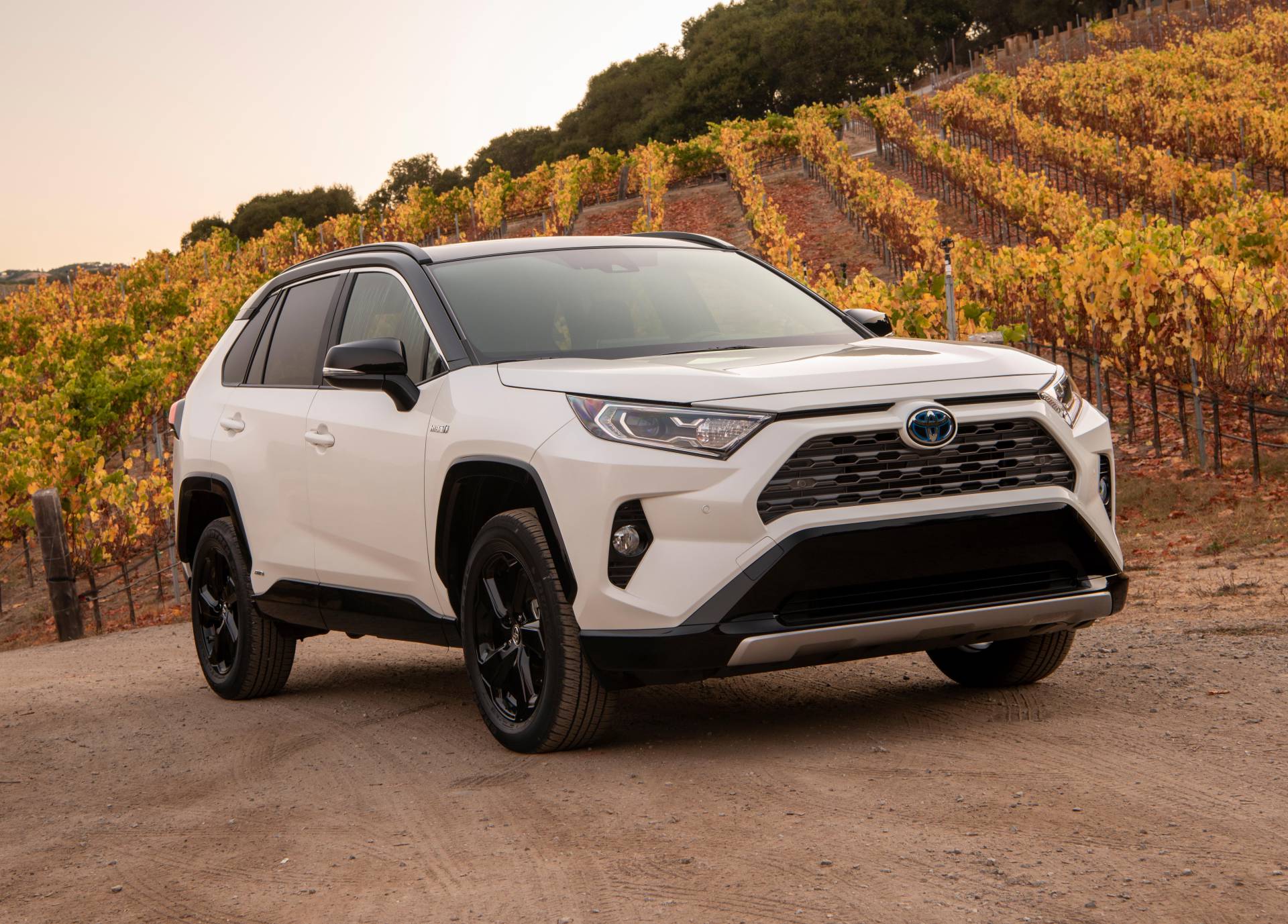 2019 Toyota RAV4 Hybrid 2 Suzuki To Offer Toyota-Based Hybrids In Europe Thanks To New Global Agreement
