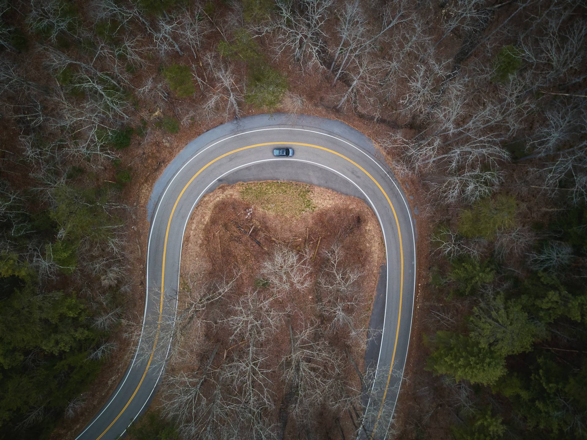 2019 VW Jetta GLI 35th Anniversary Edition 25 Huge 2019 VW Jetta GLI Gallery Helps You Choose Your Favorite Model