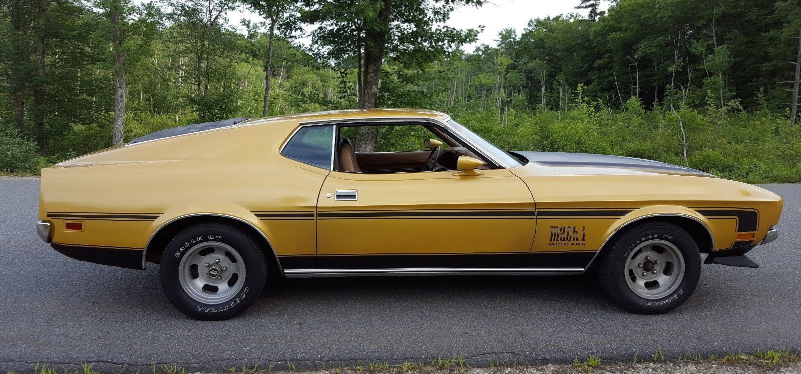 1972 Ford Mustang Mach 1 Fastback Is A Classic That Won't Cost You A ...
