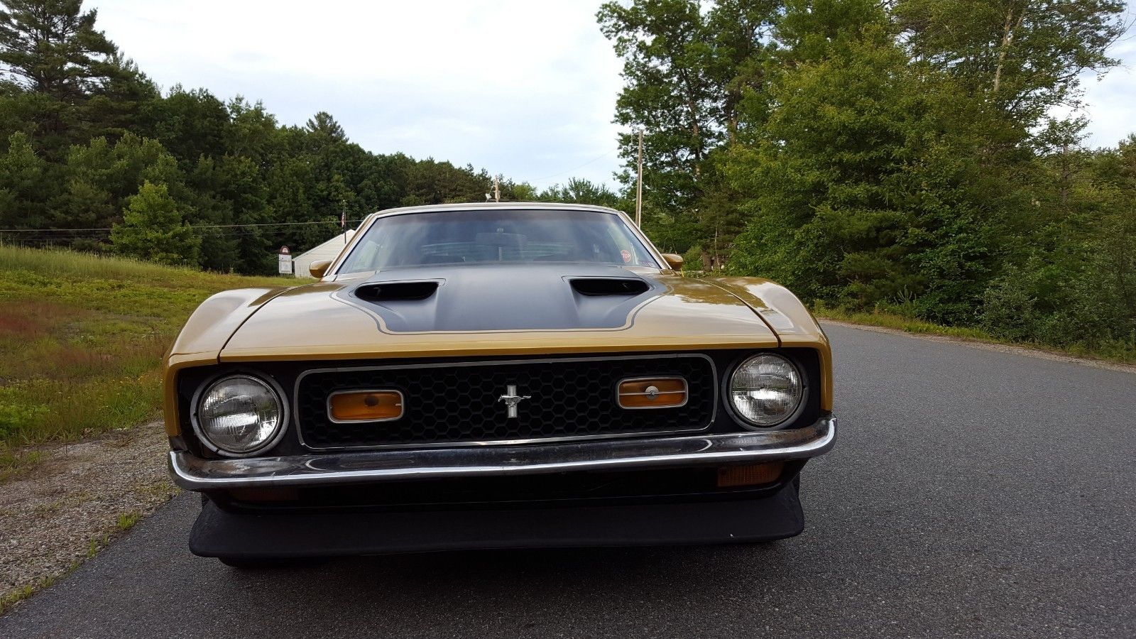 1972 ford mustang fastback ebay 19 1972 Ford Mustang Mach 1 Fastback Is A Classic That Won’t Cost You A Fortune