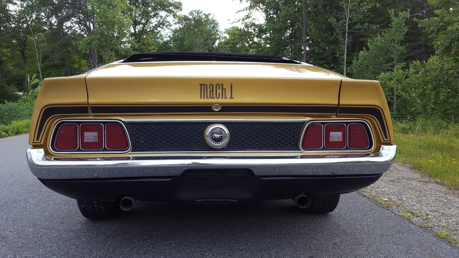 1972 ford mustang fastback ebay 20 1972 Ford Mustang Mach 1 Fastback Is A Classic That Won’t Cost You A Fortune