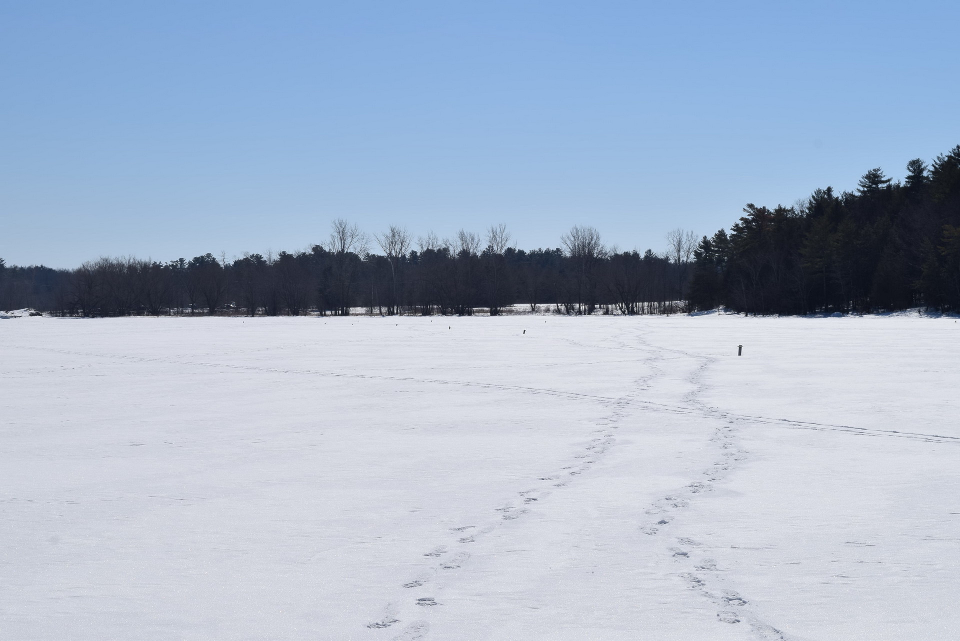 Tesla Model X Fire Tesla Model X Burnt To Ashes On Frozen Vermont Lake