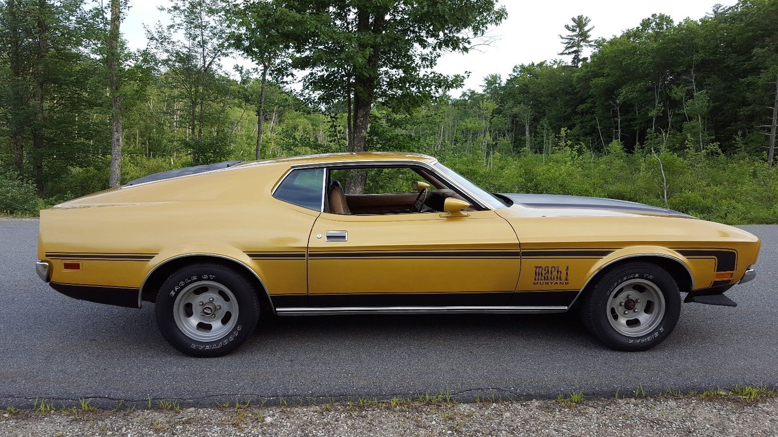 1972 ford mustang fastback ebay 2 1972 Ford Mustang Mach 1 Fastback Is A Classic That Won’t Cost You A Fortune