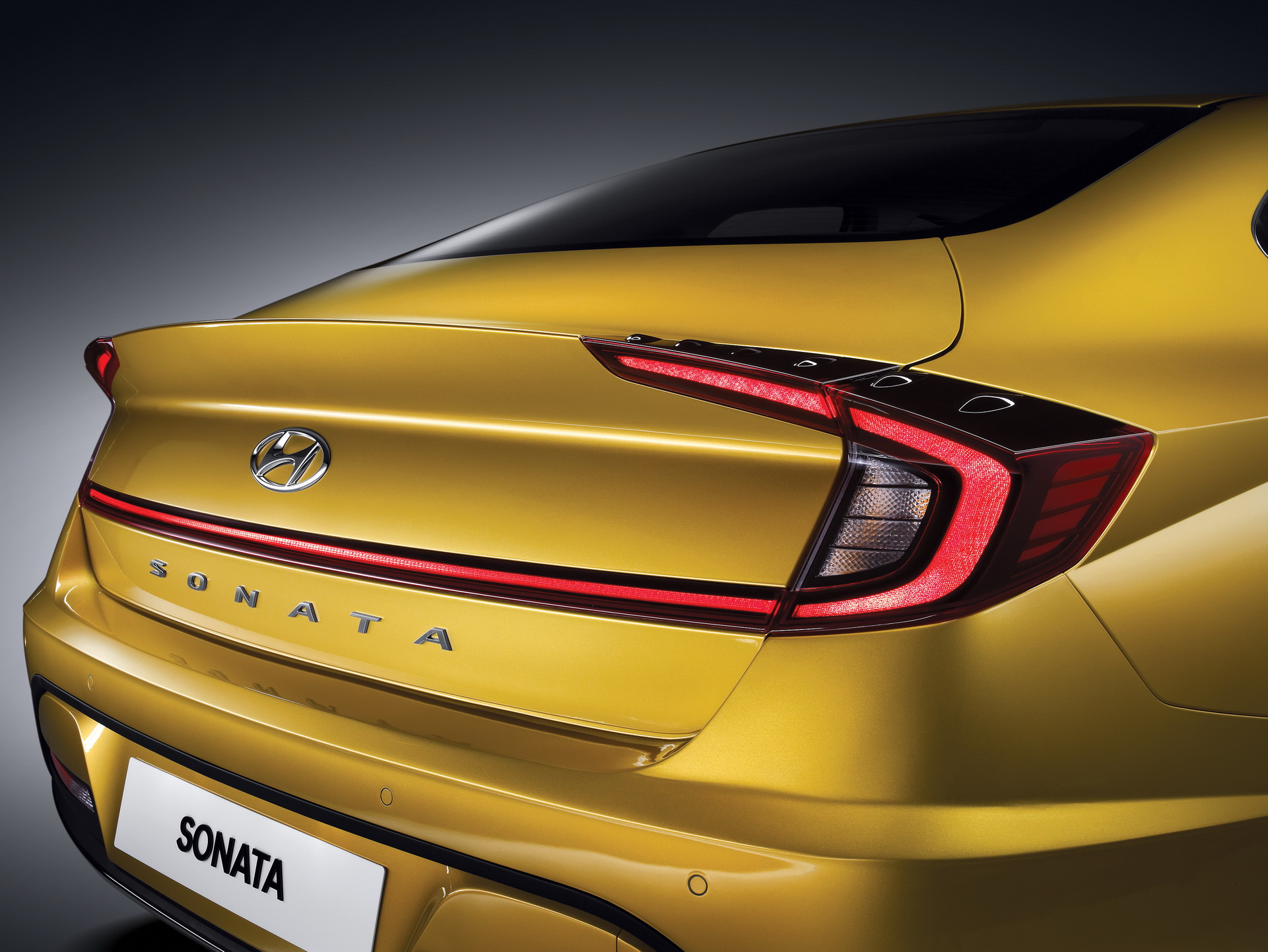 2020 Hyundai Sonata 2 2020 Hyundai Sonata: Take An In-Depth Video And Photo Look