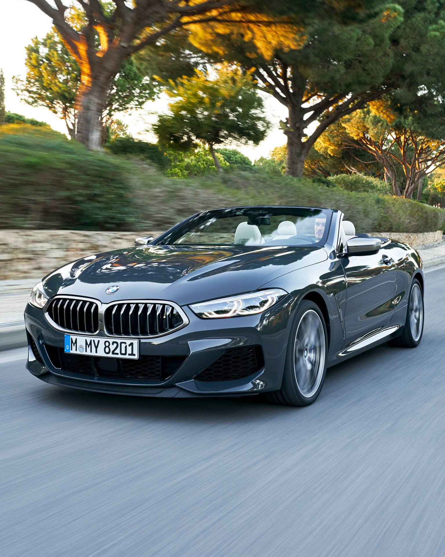 2019 BMW 8 Series Convertible 11 Get To Know The 2019 BMW 8 Series Convertible In 98 New Photos