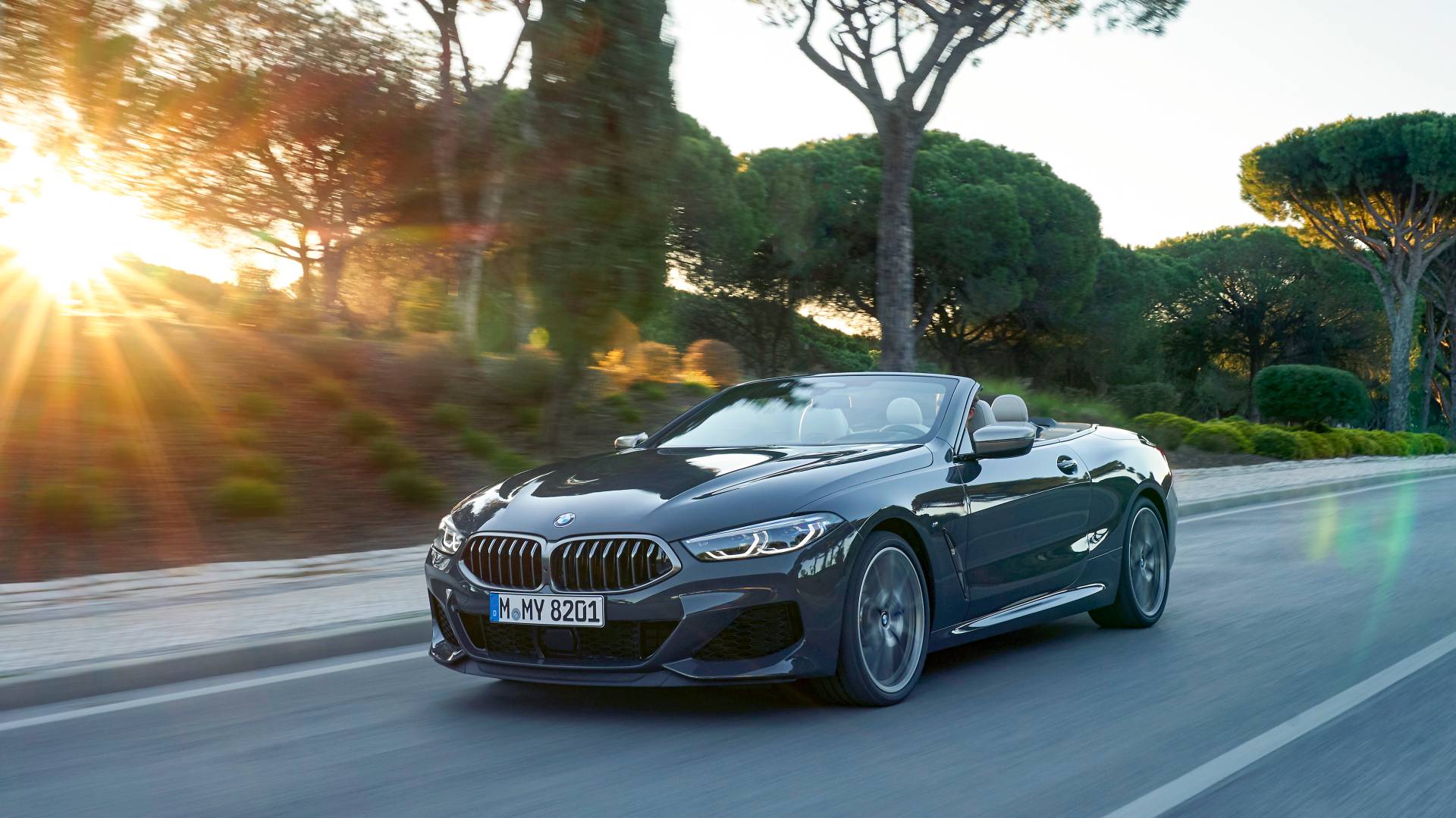 2019 BMW 8 Series Convertible 12 Get To Know The 2019 BMW 8 Series Convertible In 98 New Photos
