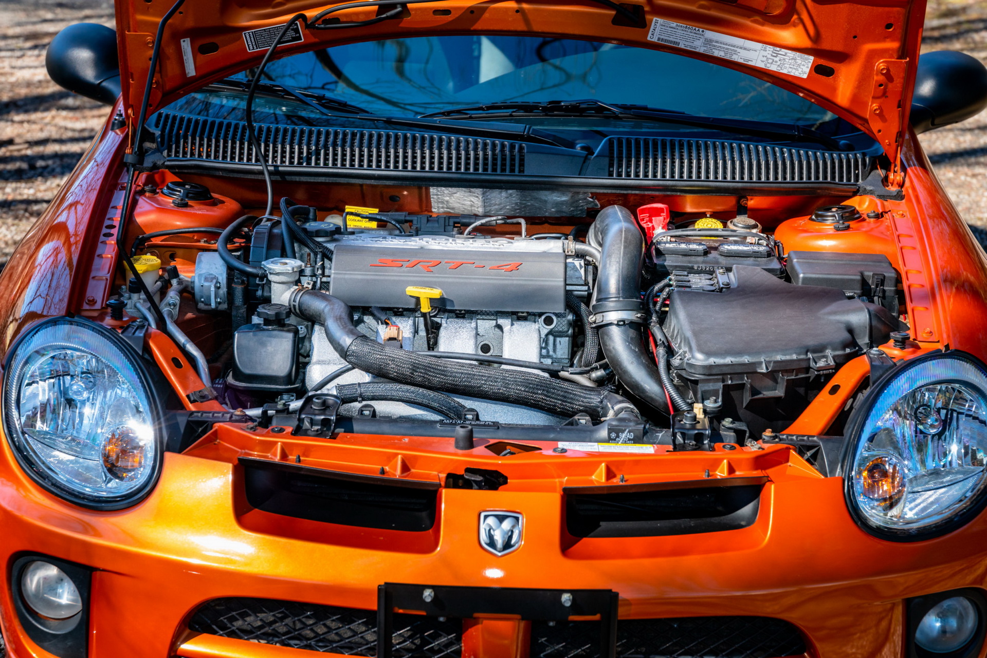 2005 dodge neon srt4 bat auction 53 2005 Dodge Neon SRT-4 Has Just 2,900 Miles, Rare Orange Blast Paint