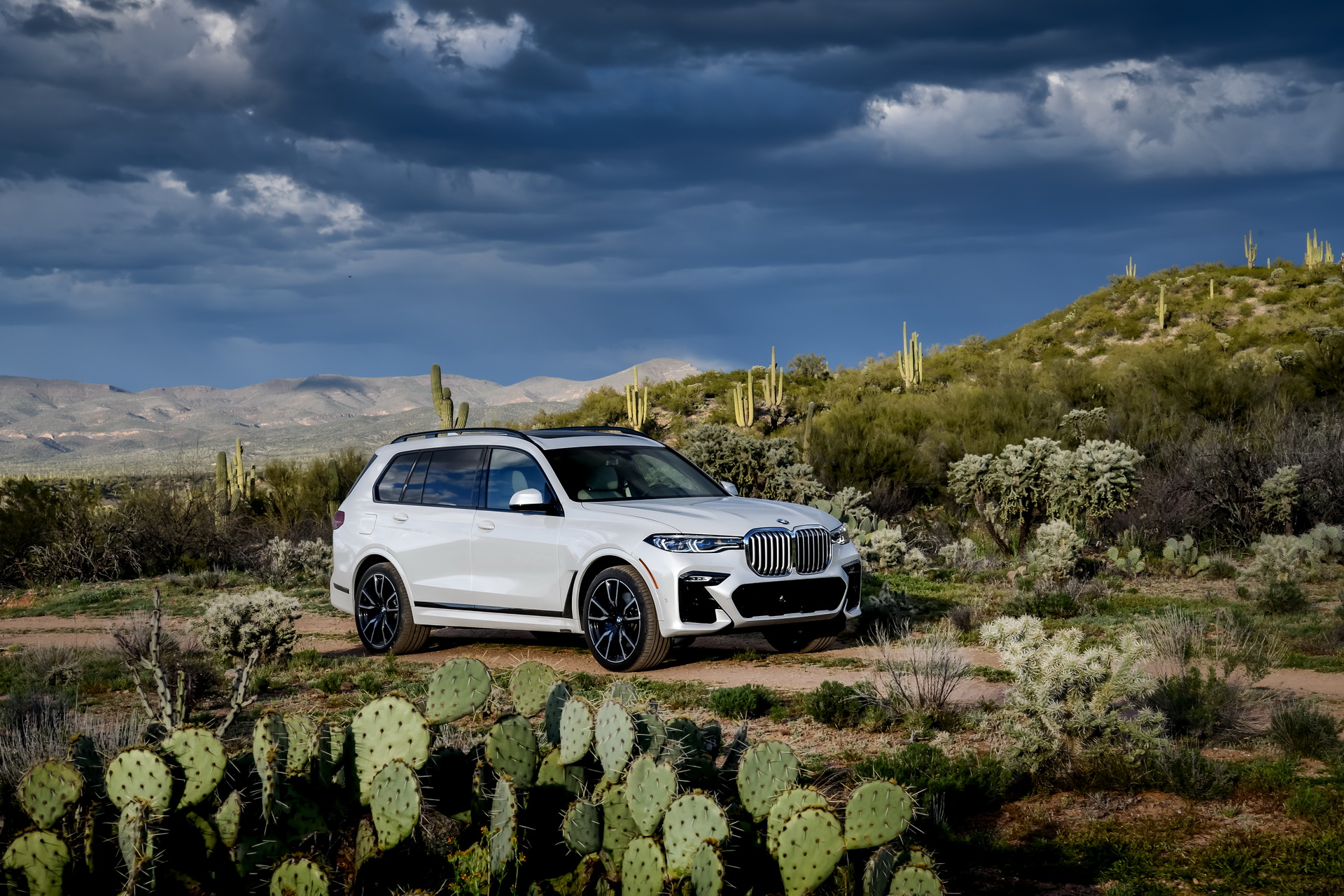 2019-BMW-X7-96 BMW Releases Detailed, 96-Image Gallery Of The New X7