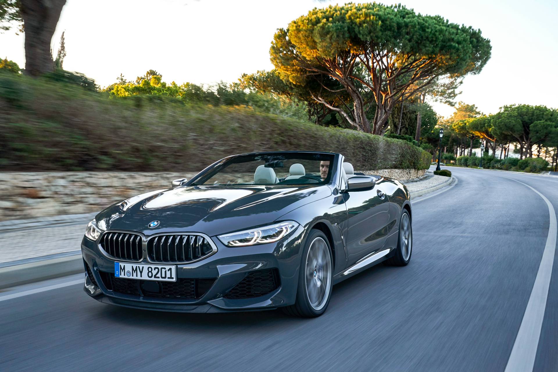 2019 BMW 8 Series Convertible 37 Get To Know The 2019 BMW 8 Series Convertible In 98 New Photos