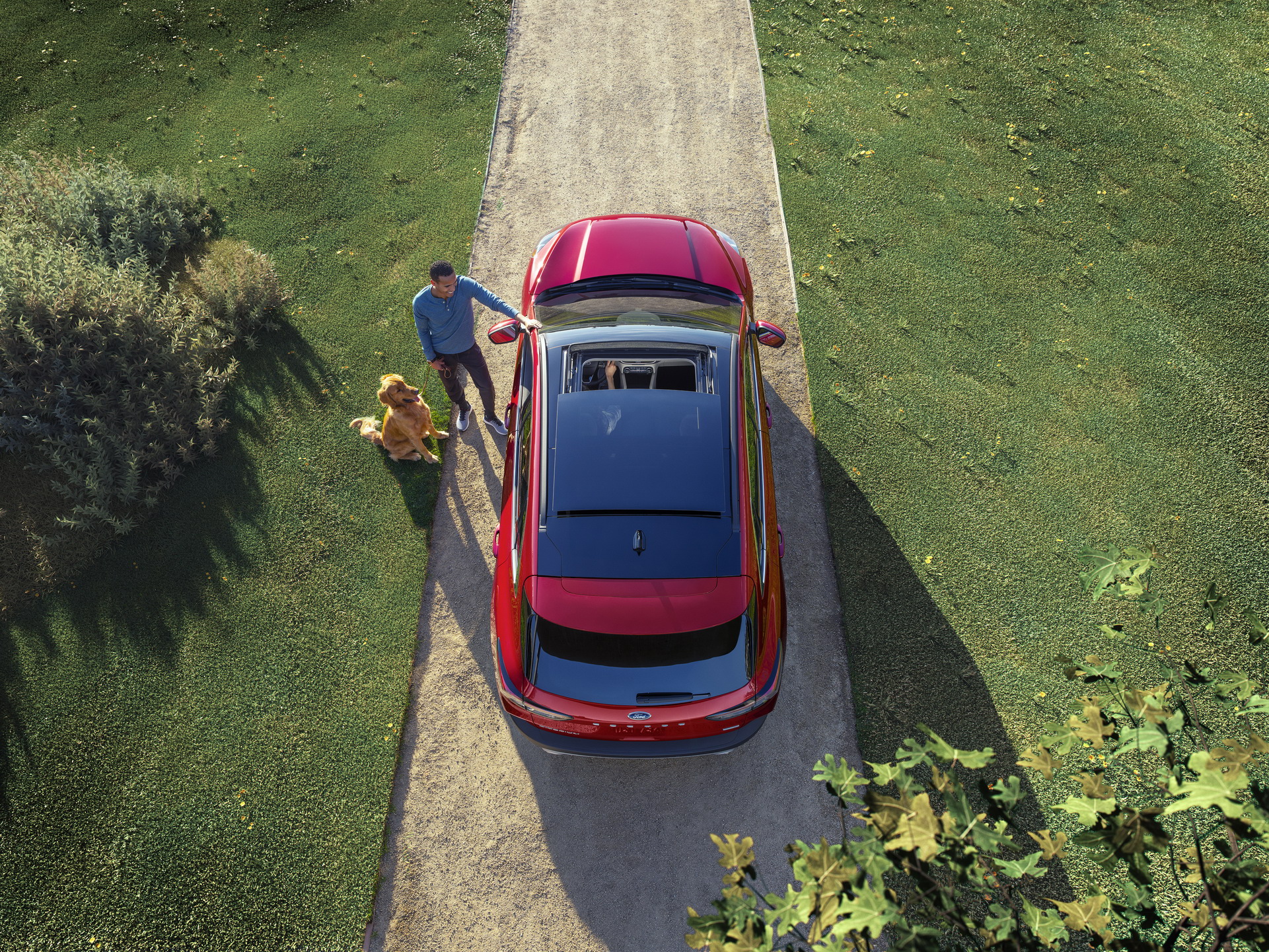 2020 Ford Escape 16 2020 Ford Escape: First Look At Smarter, Roomier And More Hatch-Like SUV