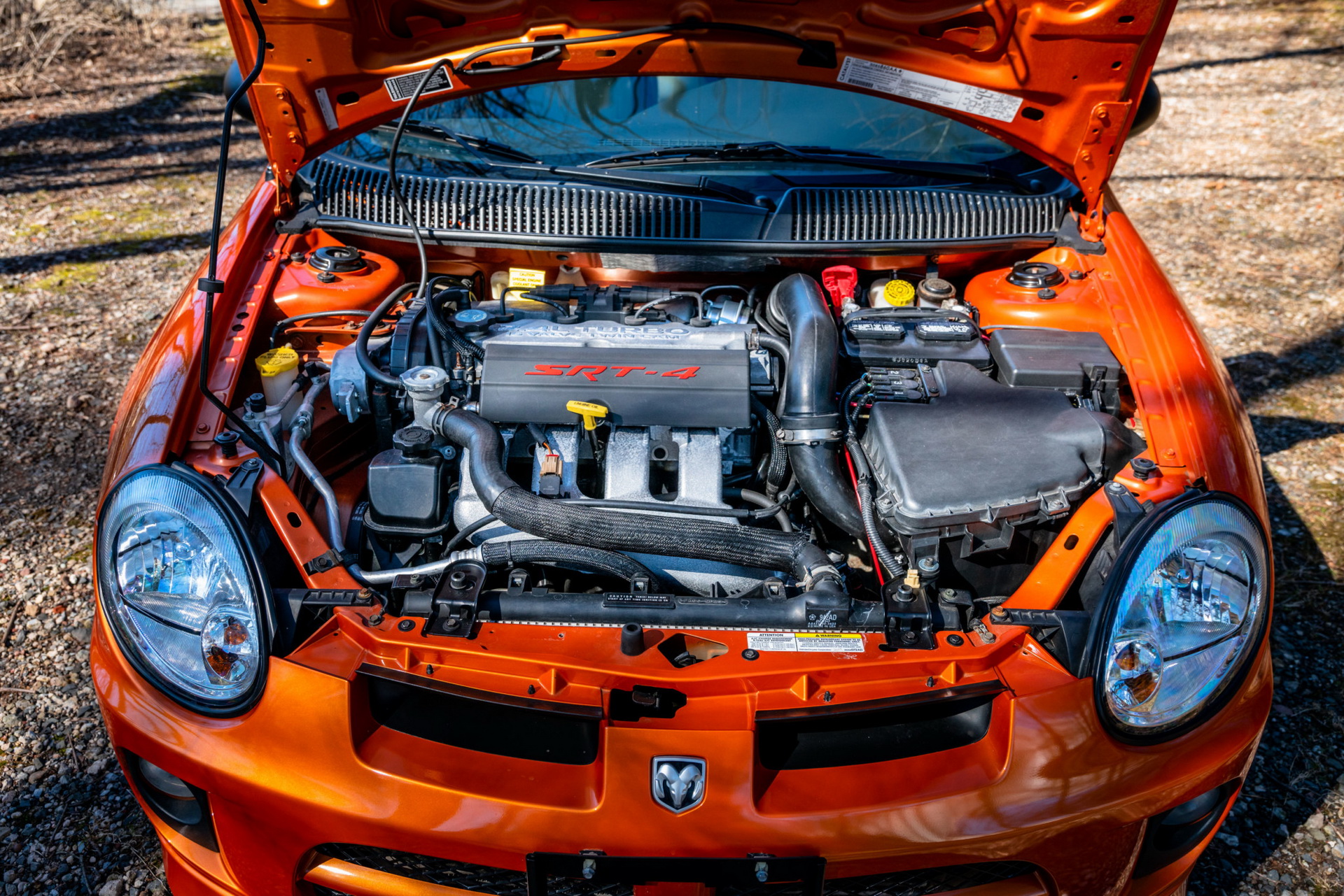 2005 dodge neon srt4 bat auction 54 2005 Dodge Neon SRT-4 Has Just 2,900 Miles, Rare Orange Blast Paint