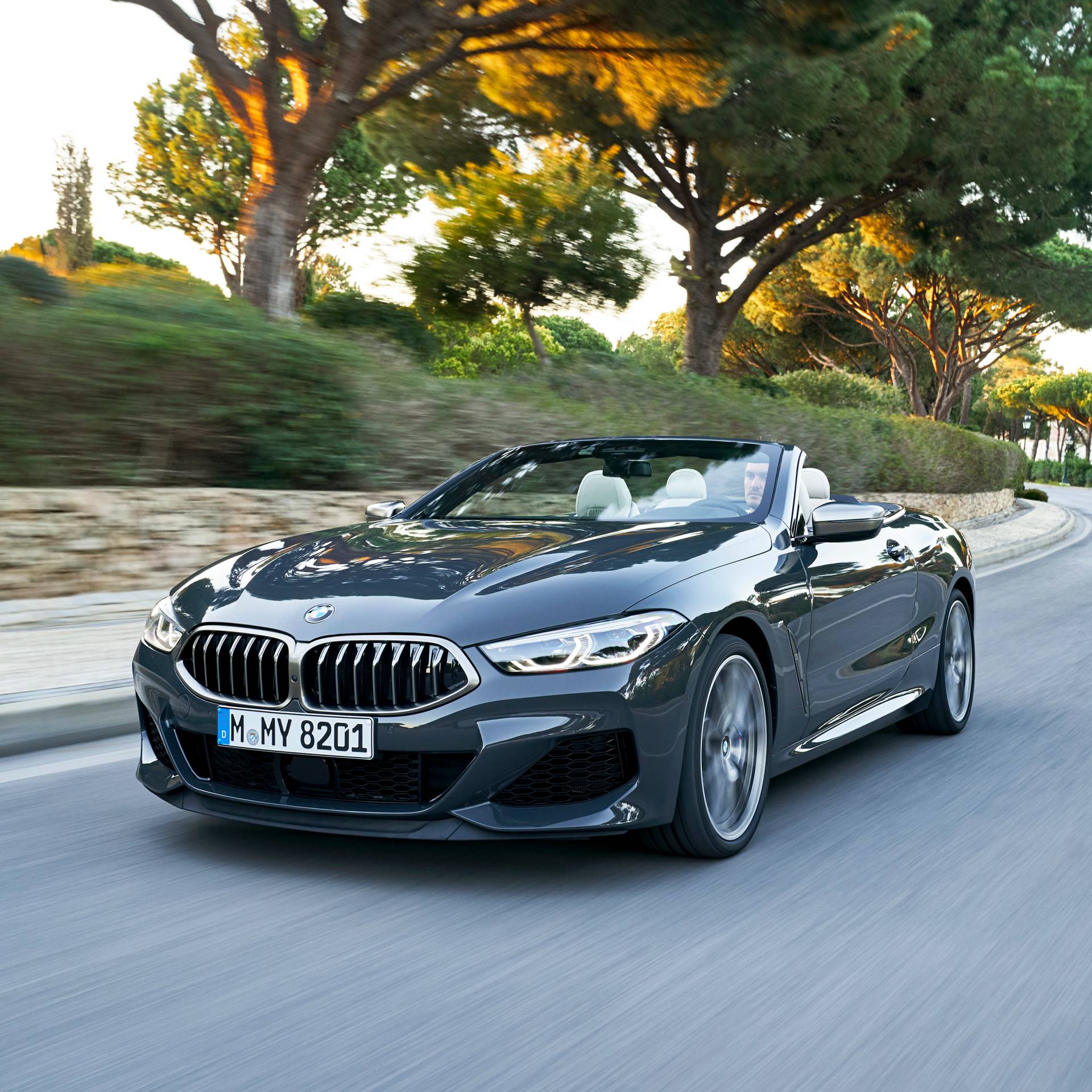 2019 BMW 8 Series Convertible 7 Get To Know The 2019 BMW 8 Series Convertible In 98 New Photos
